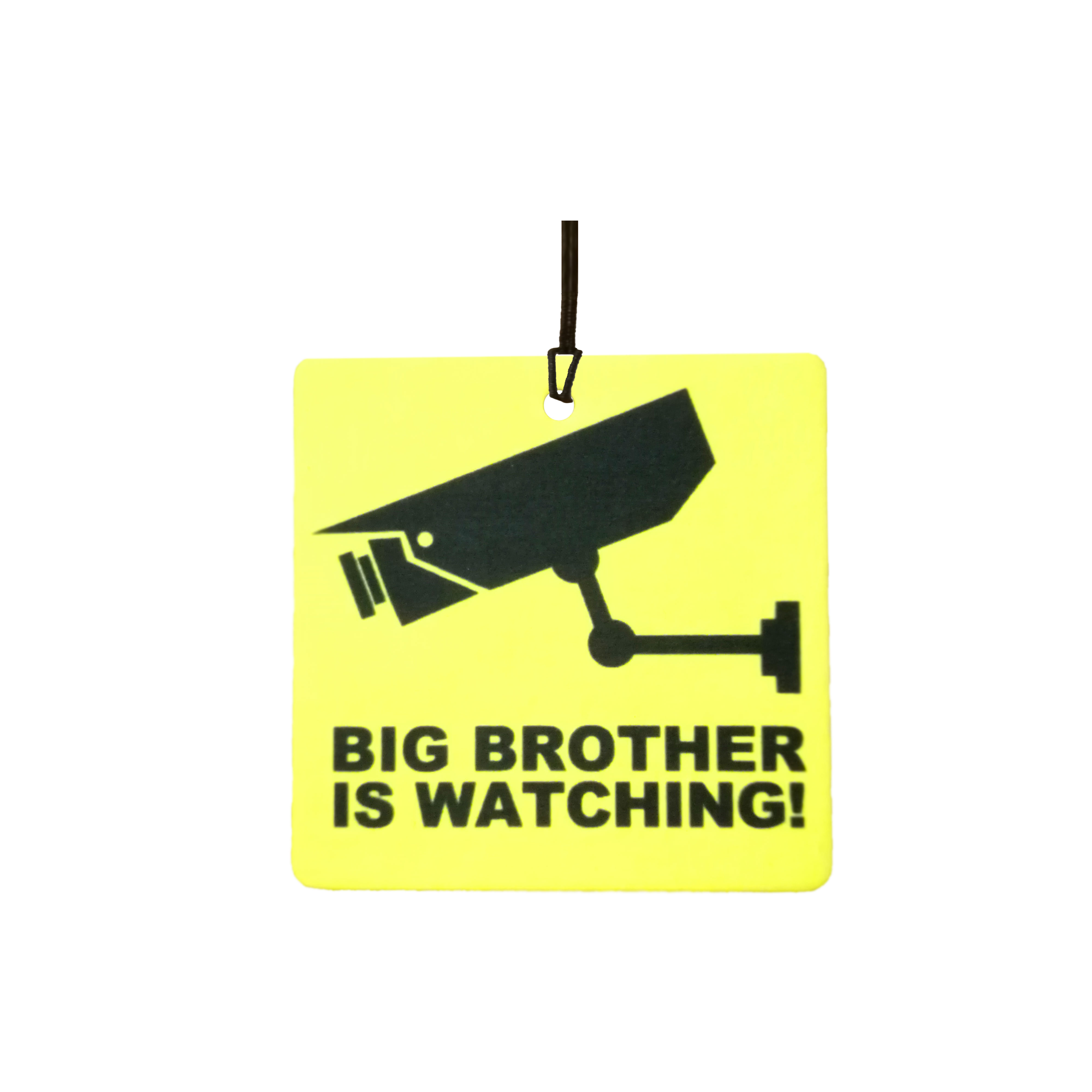 Big Brother Is Watching!