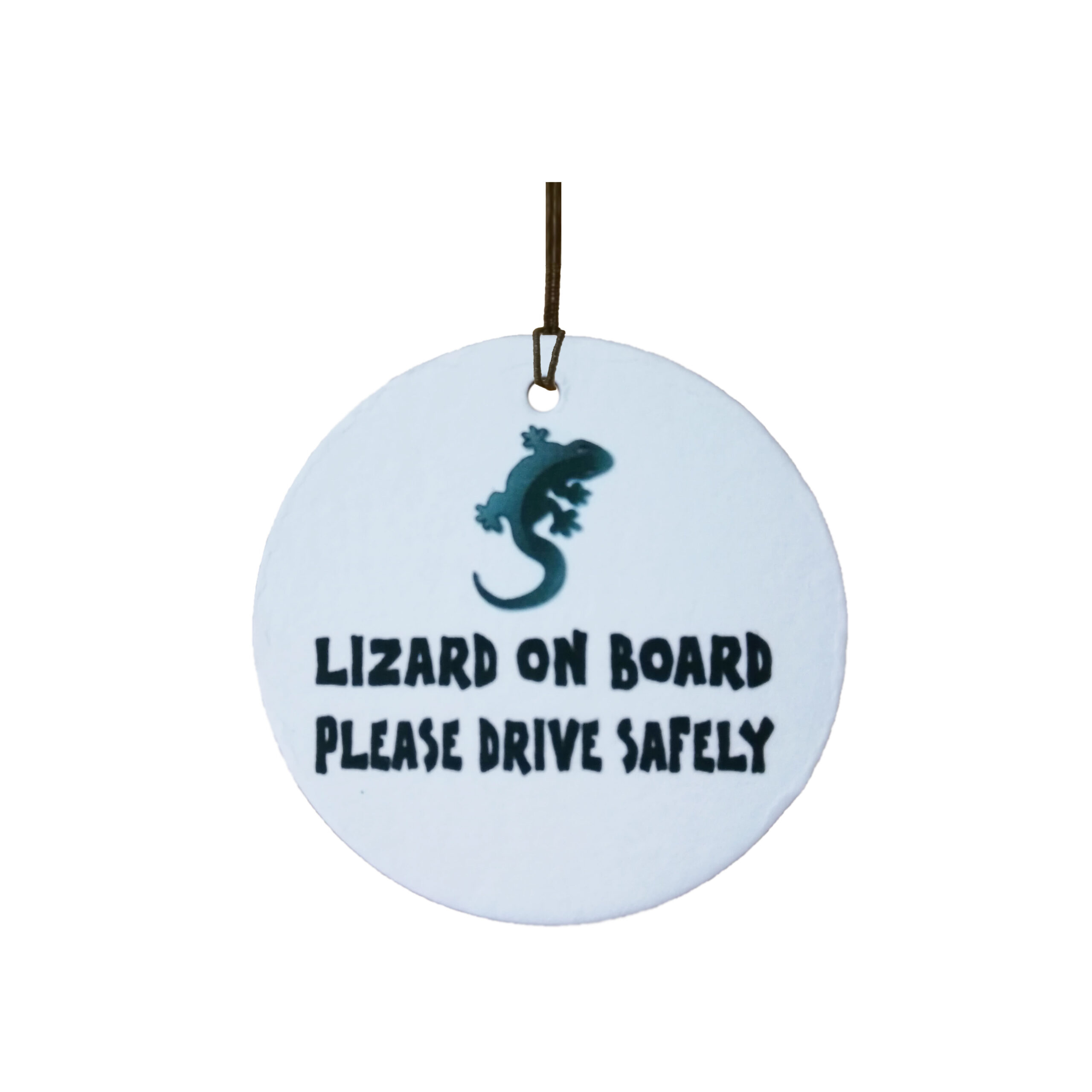 Lizard On Board