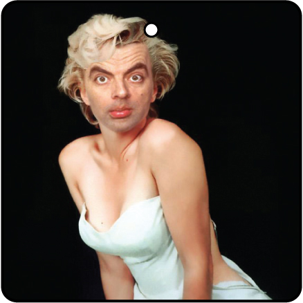 Bean Monroe