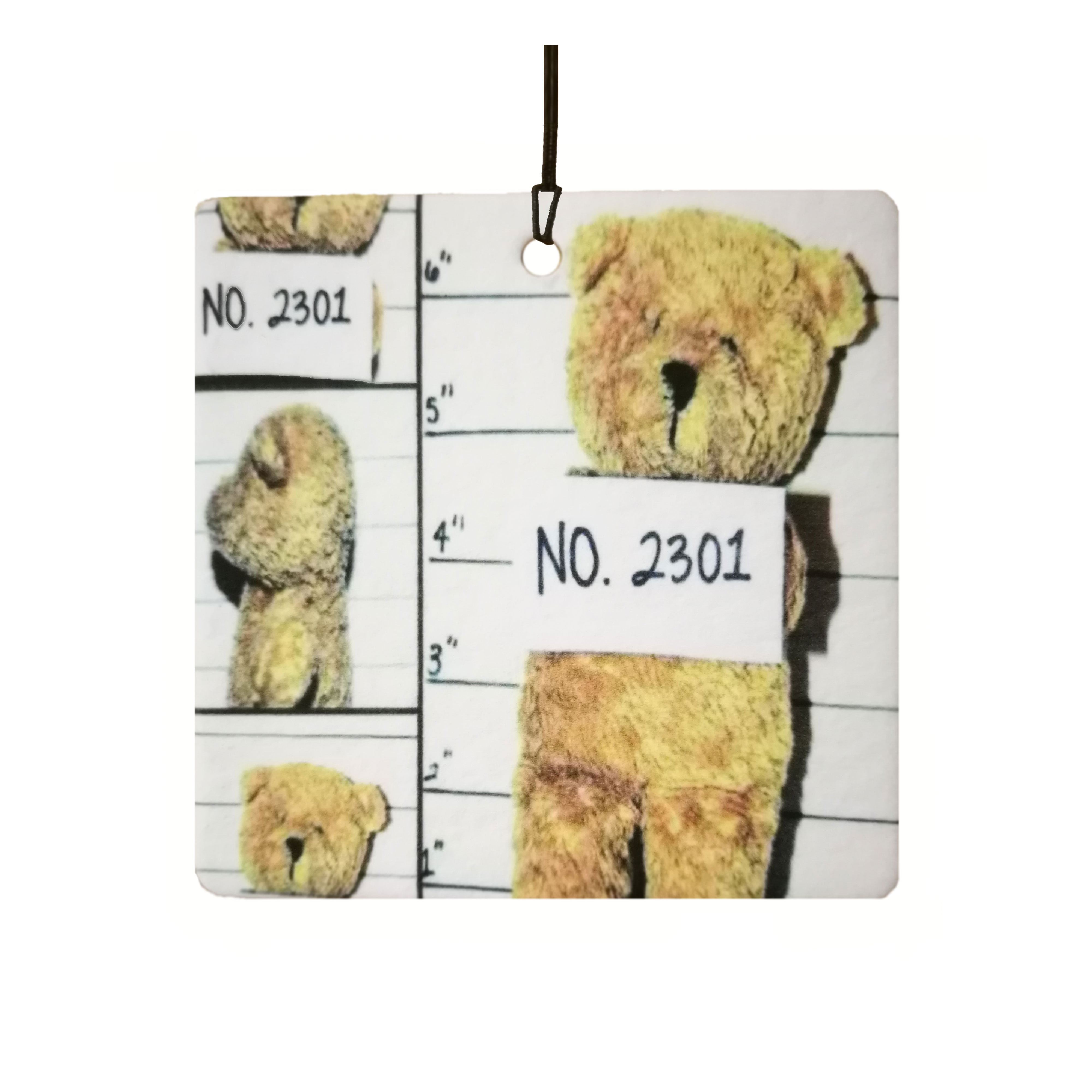 Teddy Bear Mugshot