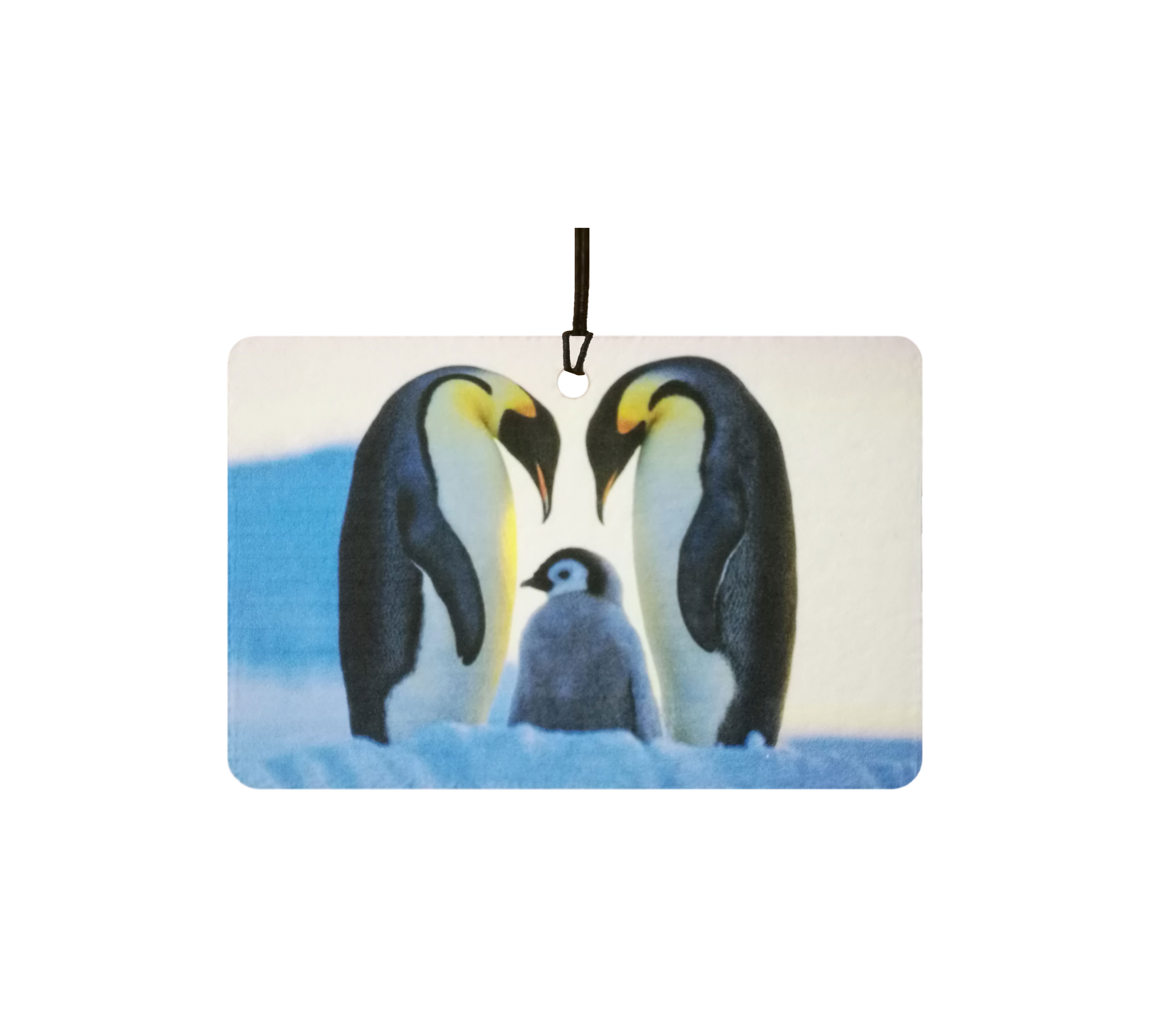 Emperor Penguins In Love