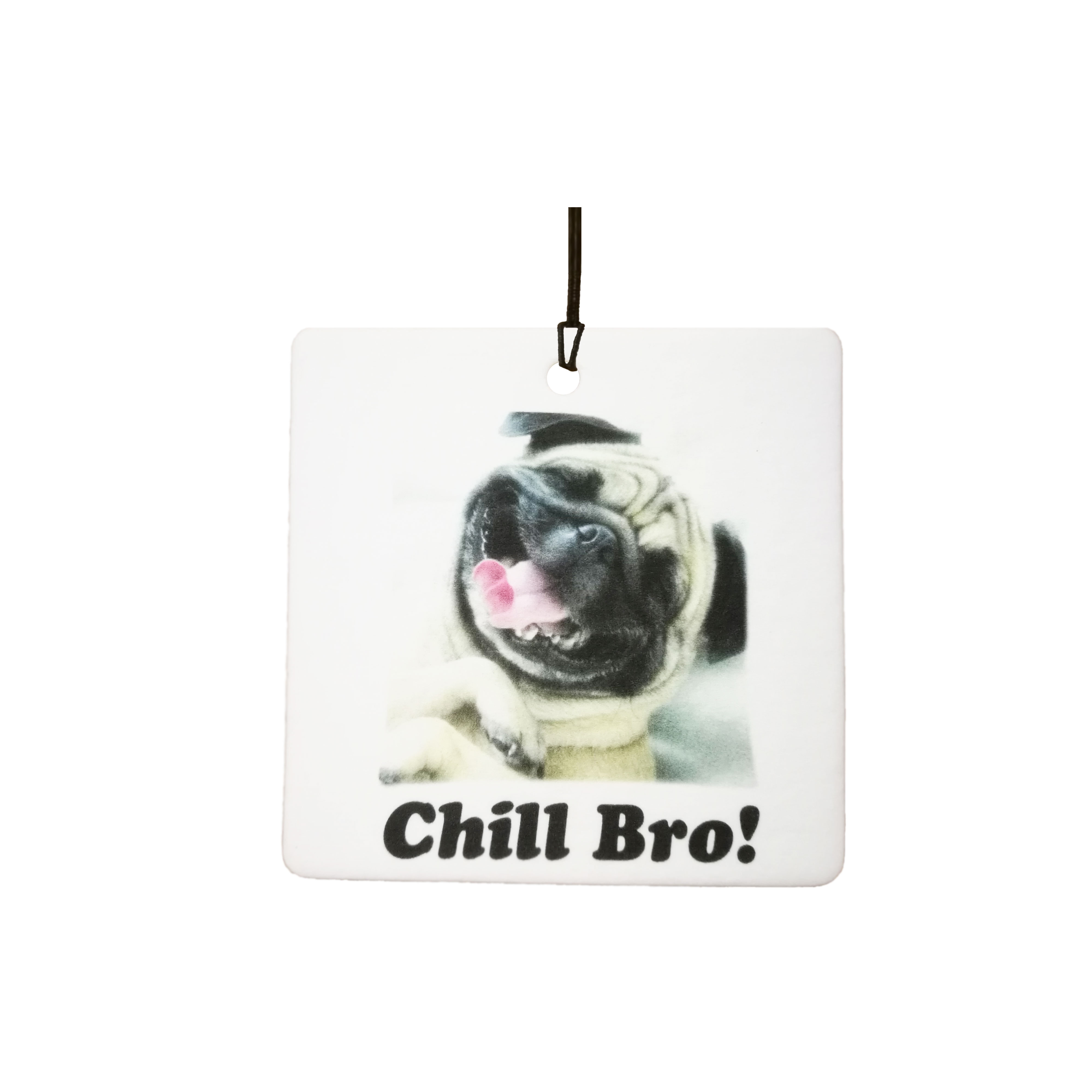Pug Dog Chill Bro