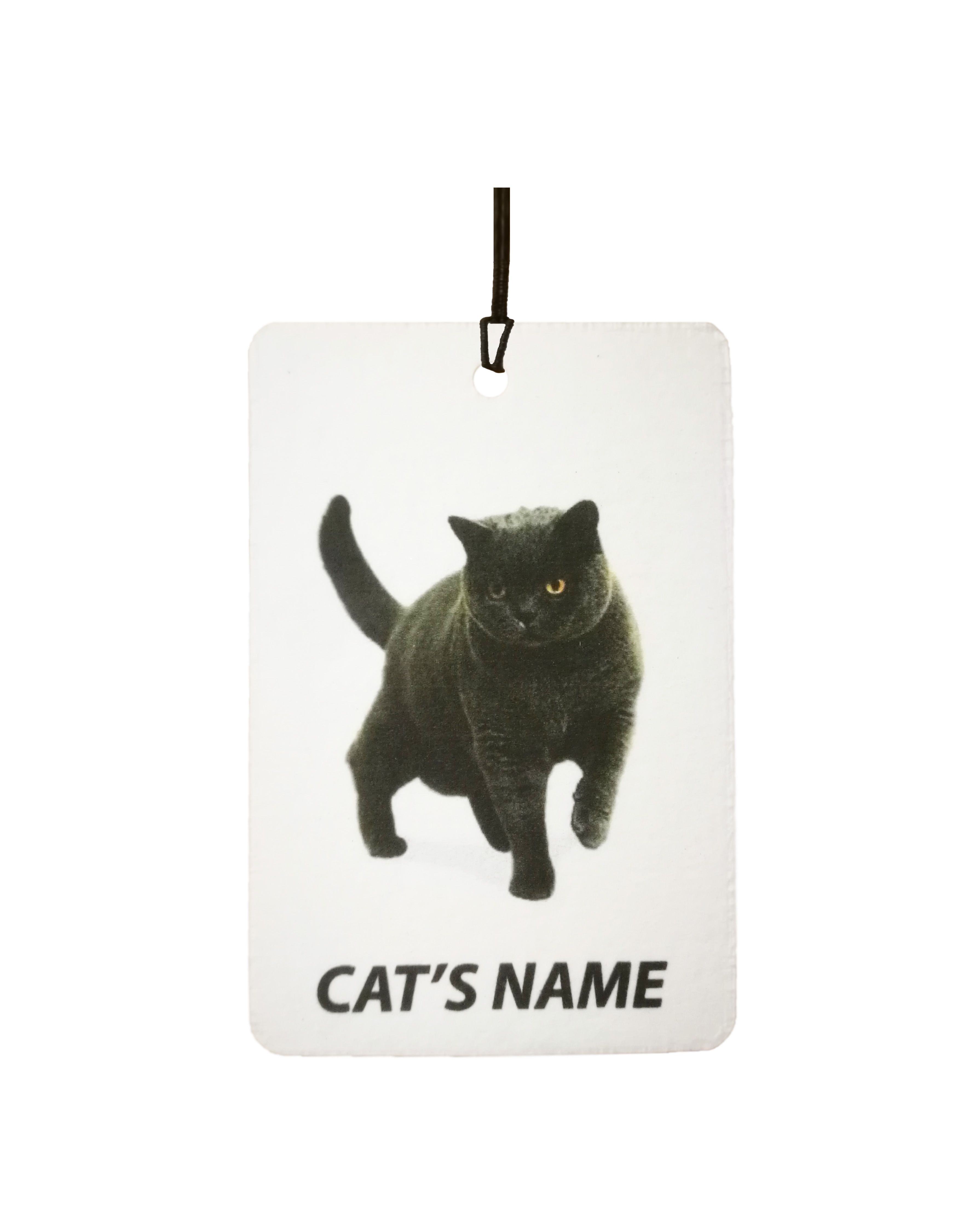 Personalised Cat's Name British Shorthair