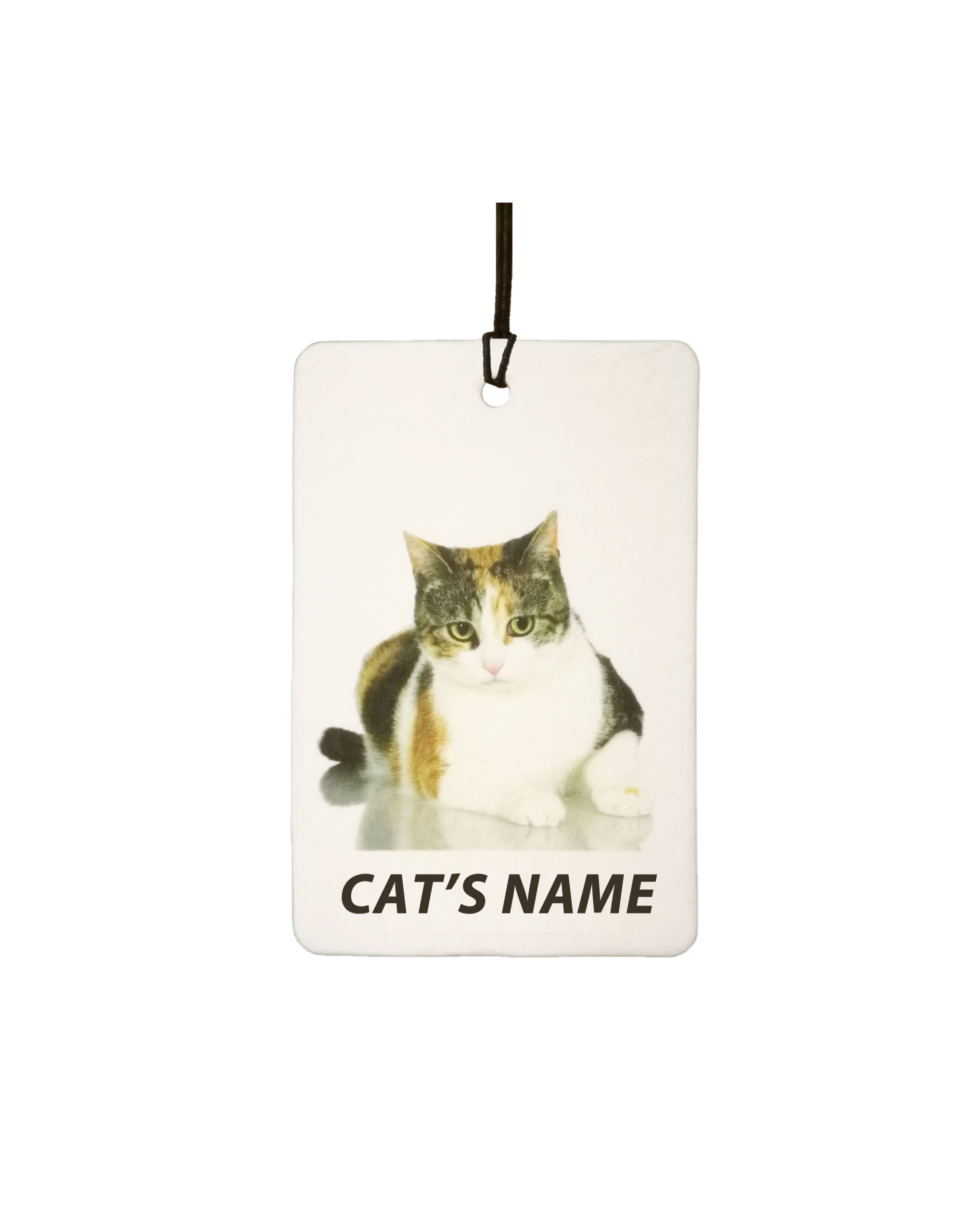 Personalised Cat's Name Calico