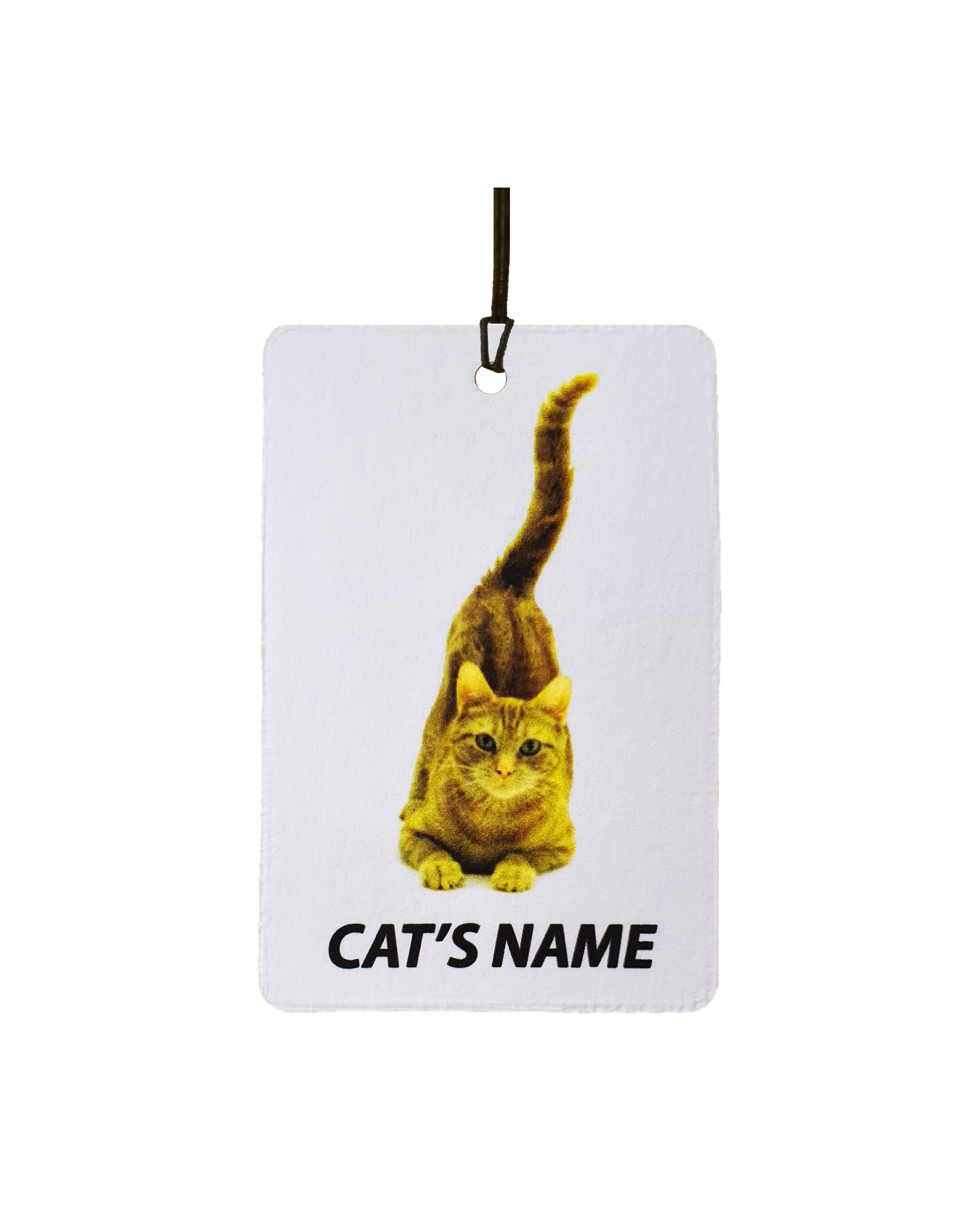 Personalised Cat's Name Ginger Cat