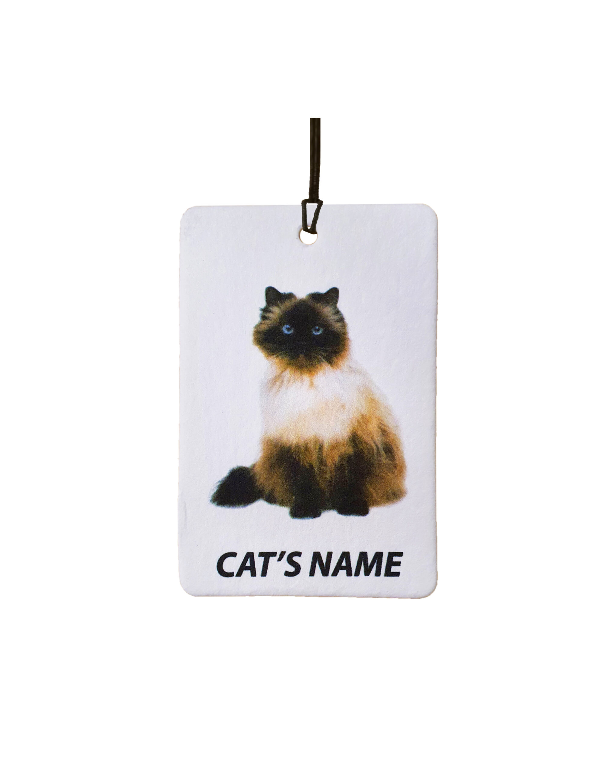 Personalised Cat's Name Himalayan