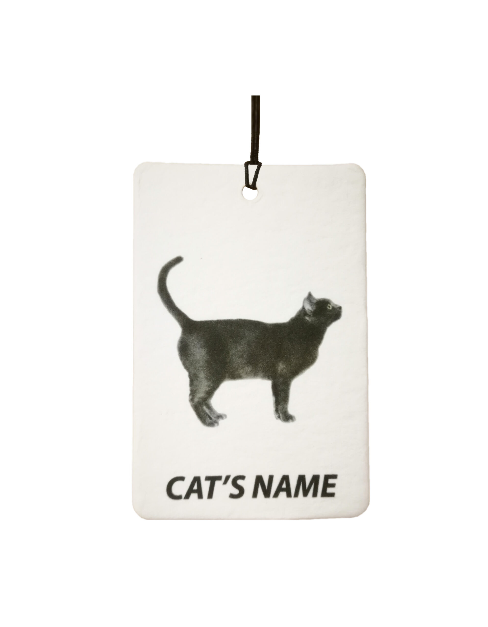 Personalised Cat's Name Korat