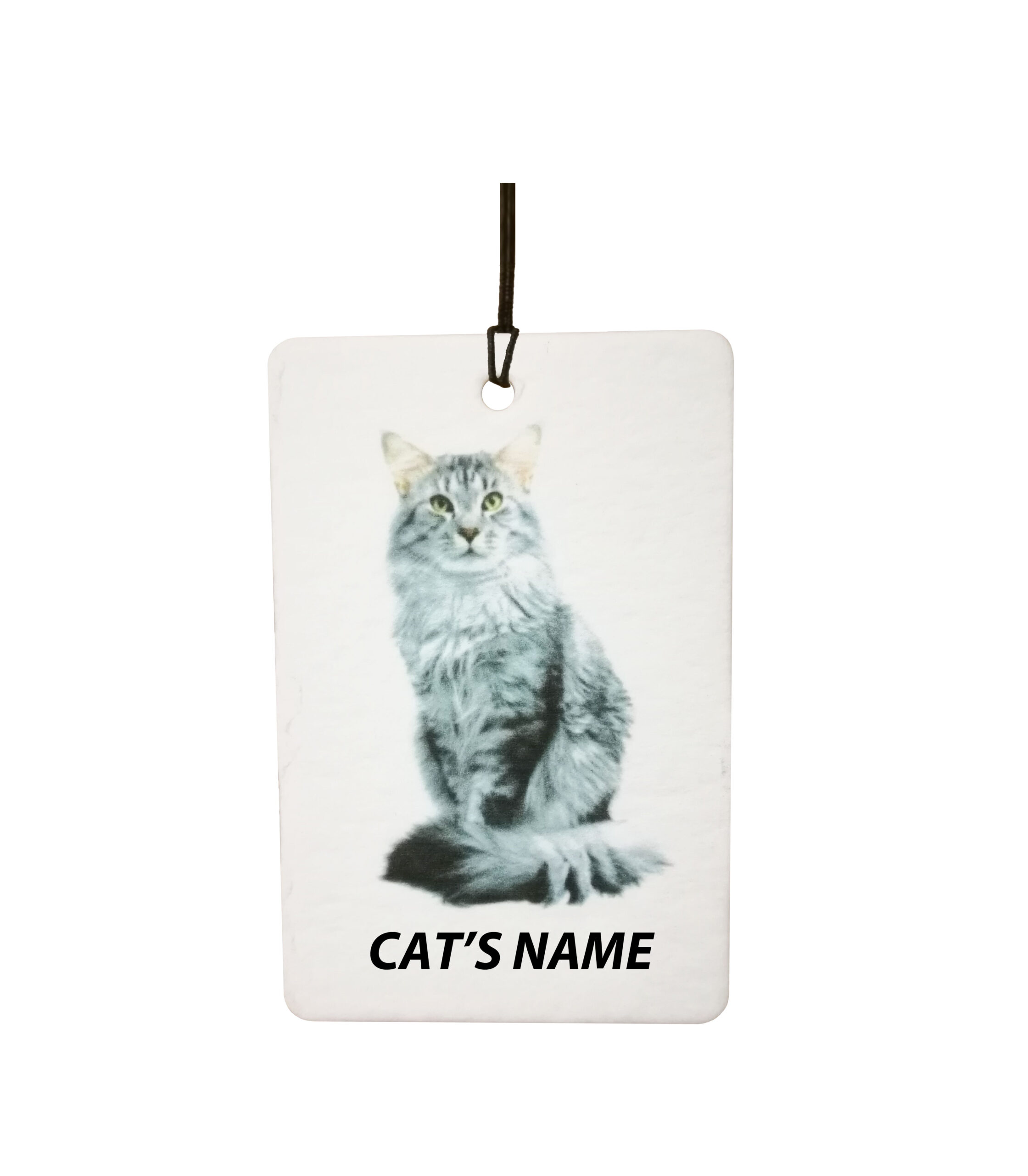 Personalised Cat's Name Maine Coon