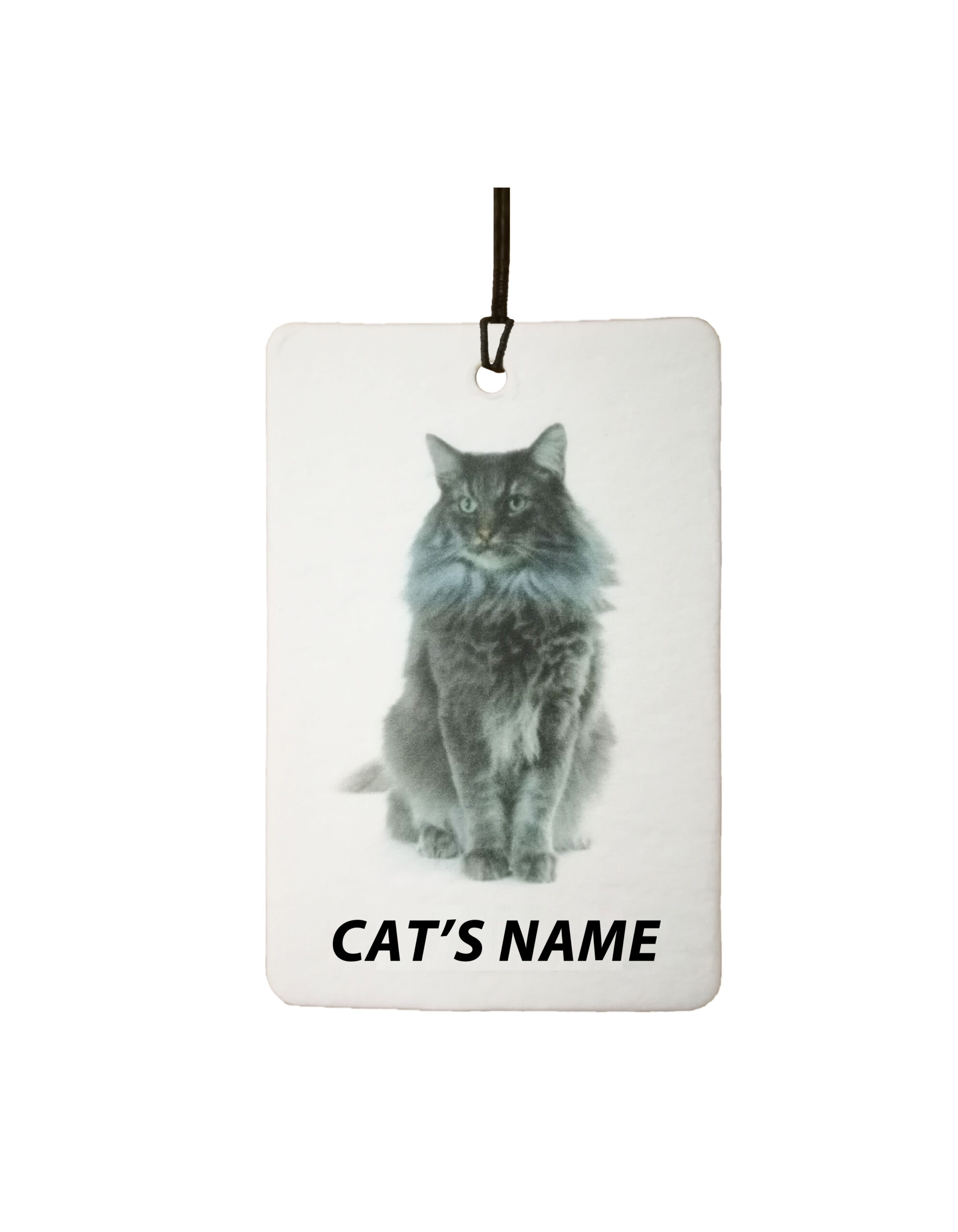 Personalised Cat's Name Norwegian Forest Cat