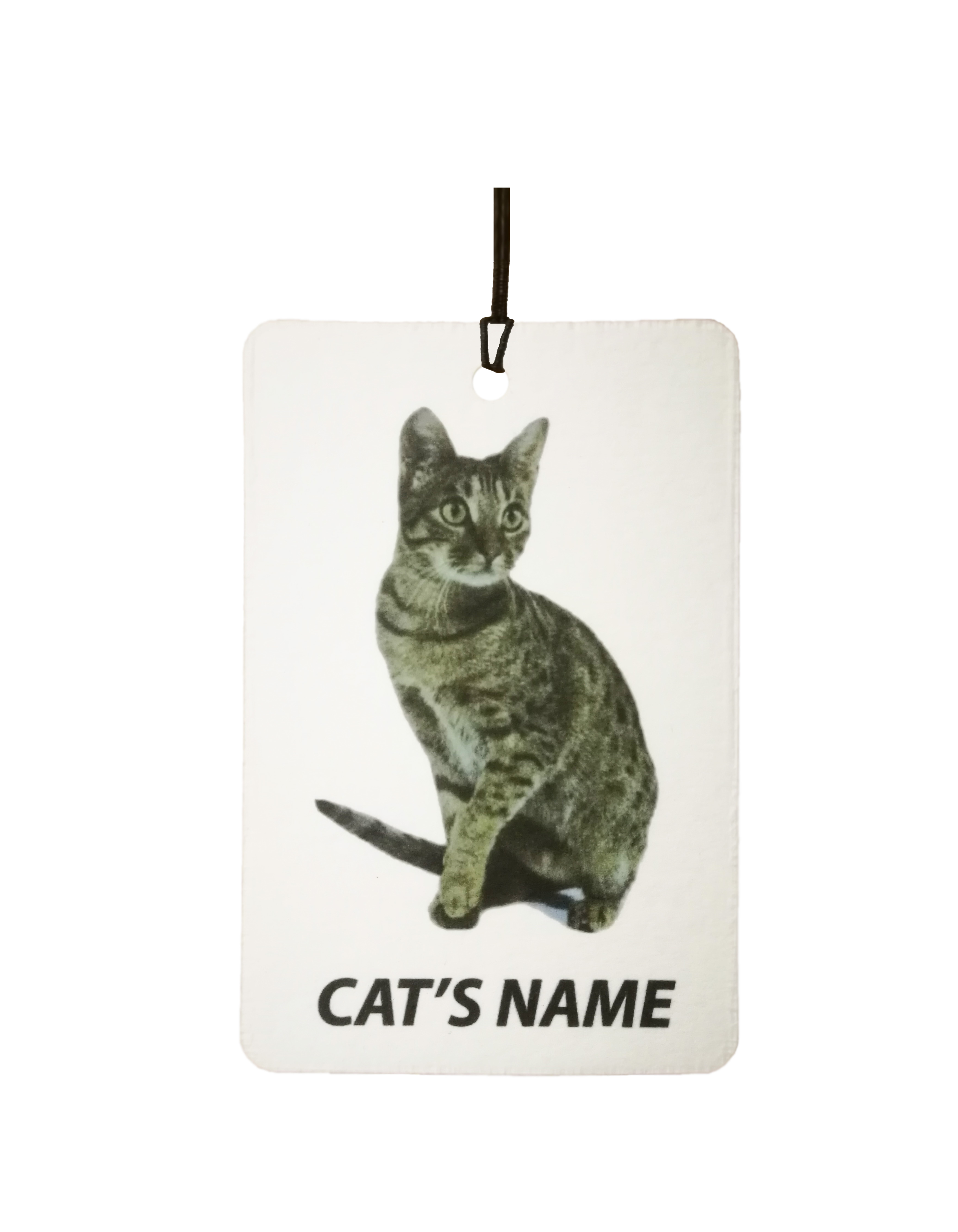 Personalised Cat's Name Ocicat