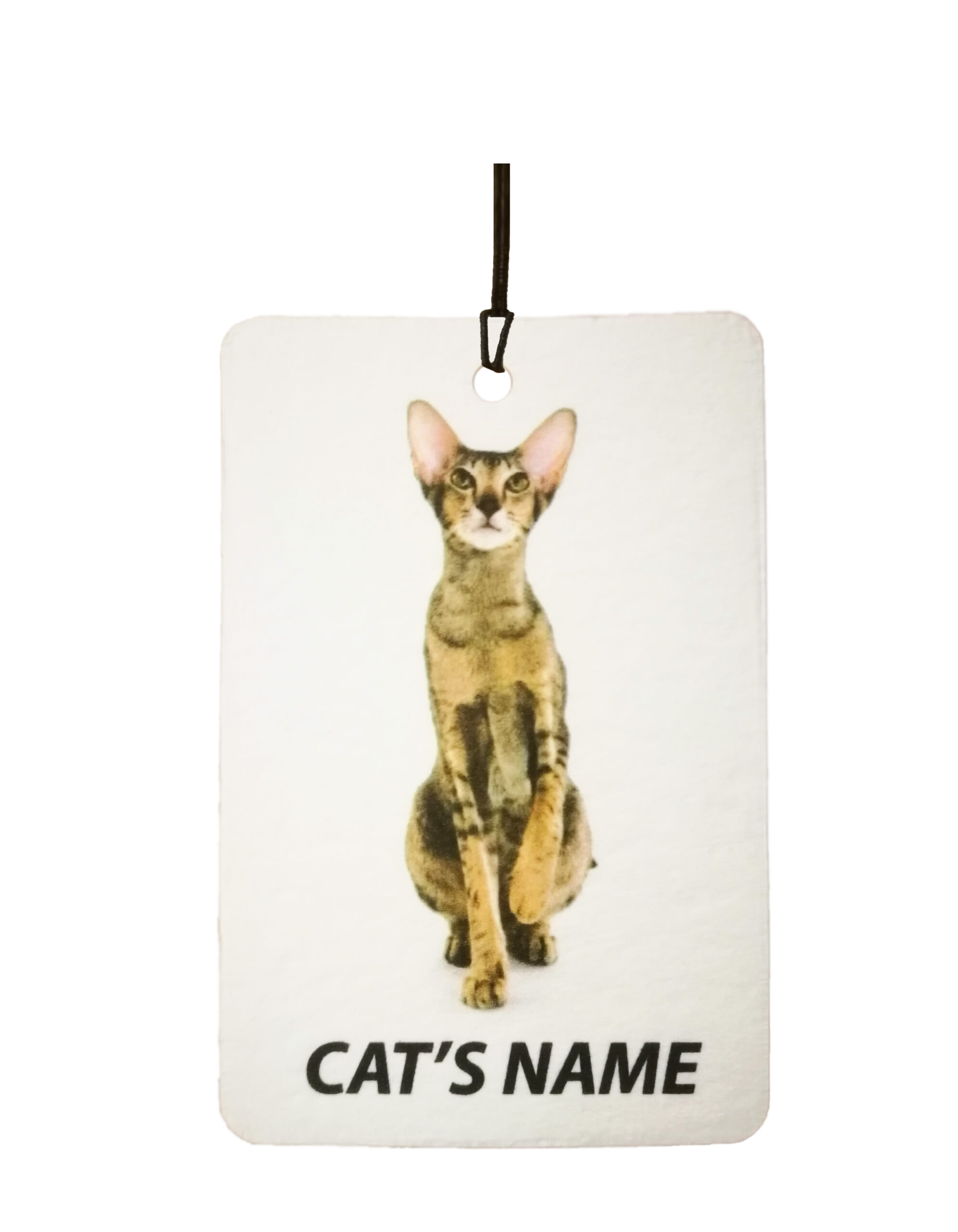 Personalised Cat's Name Oriental