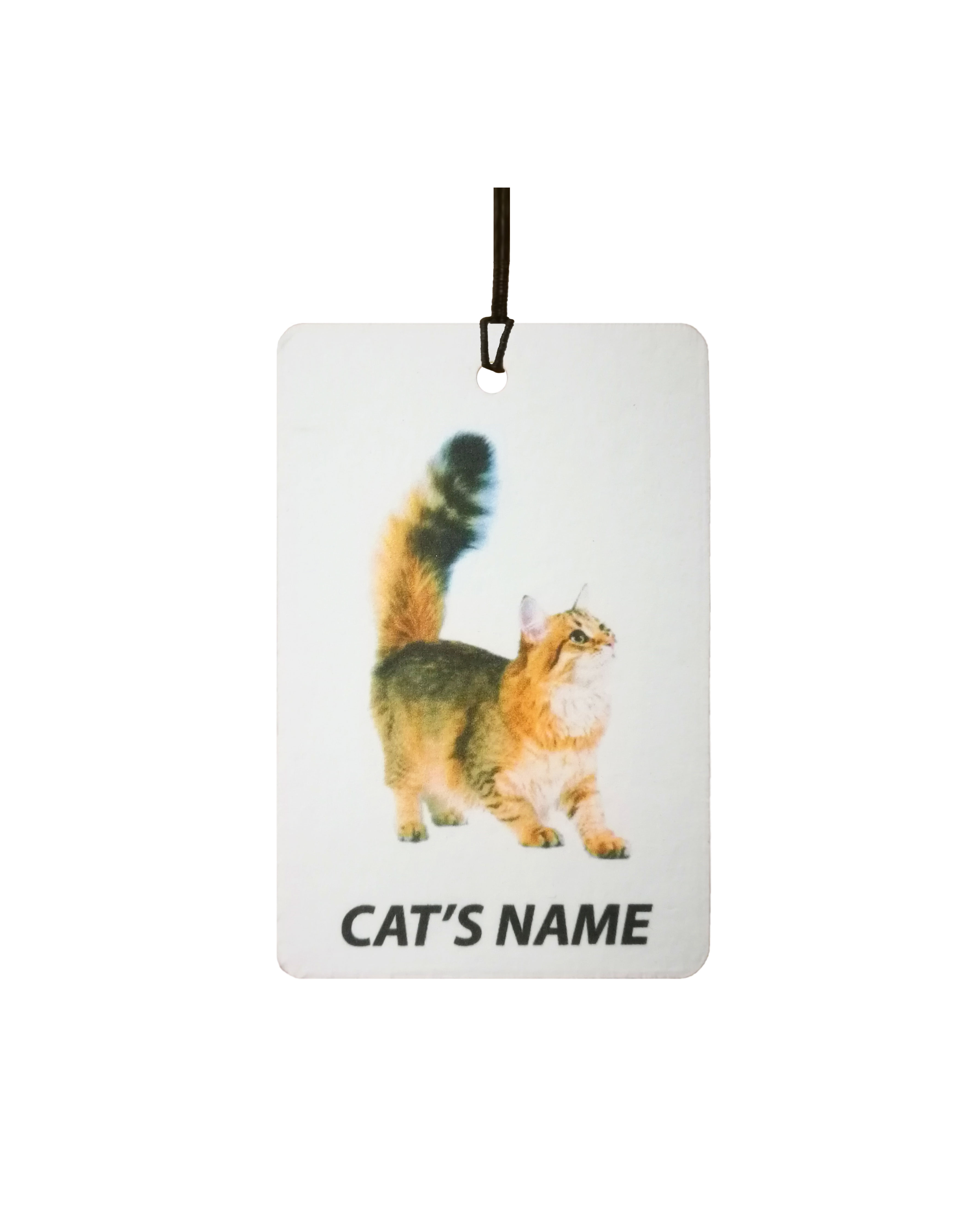 Personalised Cat's Name Siberian