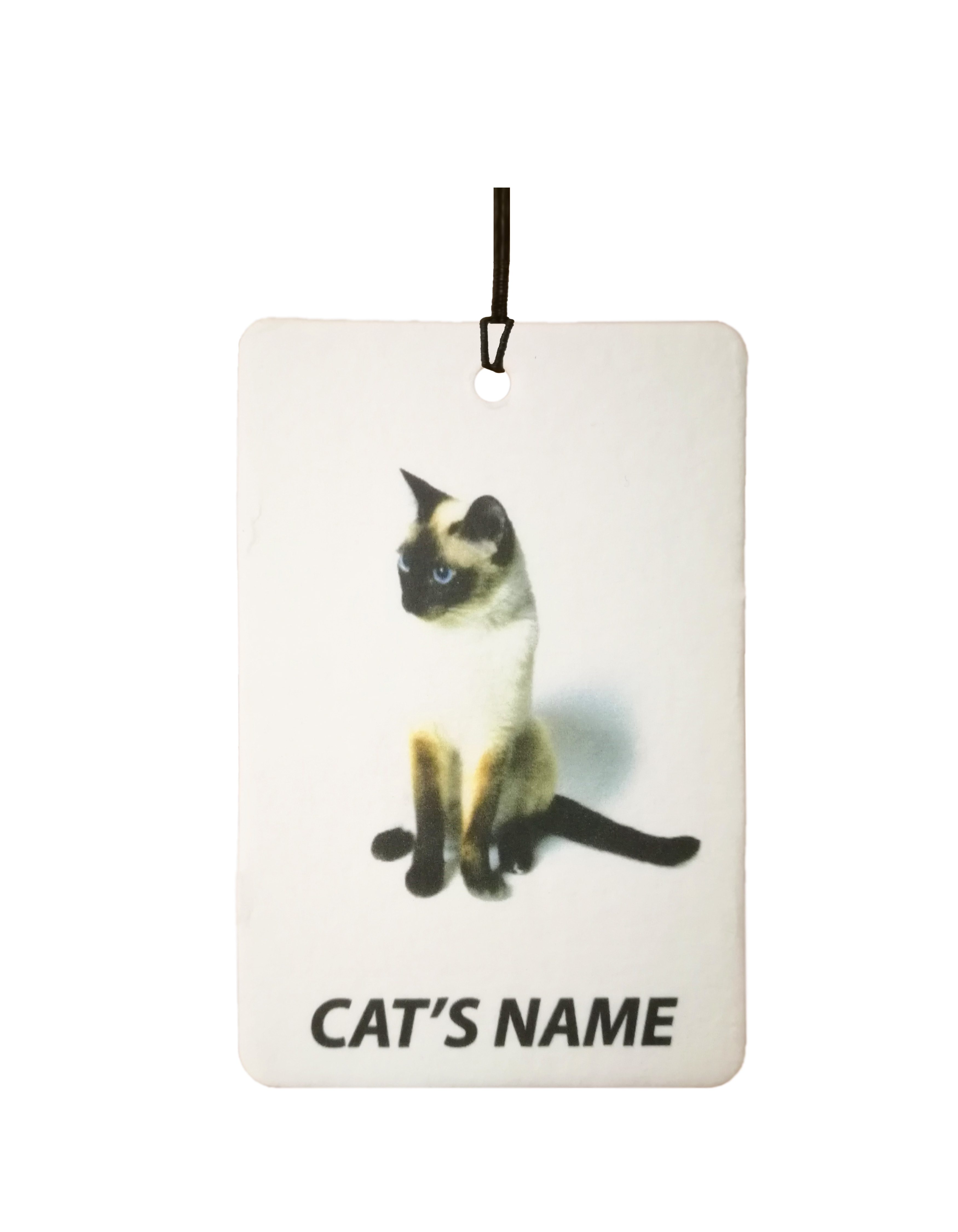 Personalised Cat's Name Snowshoe Cat