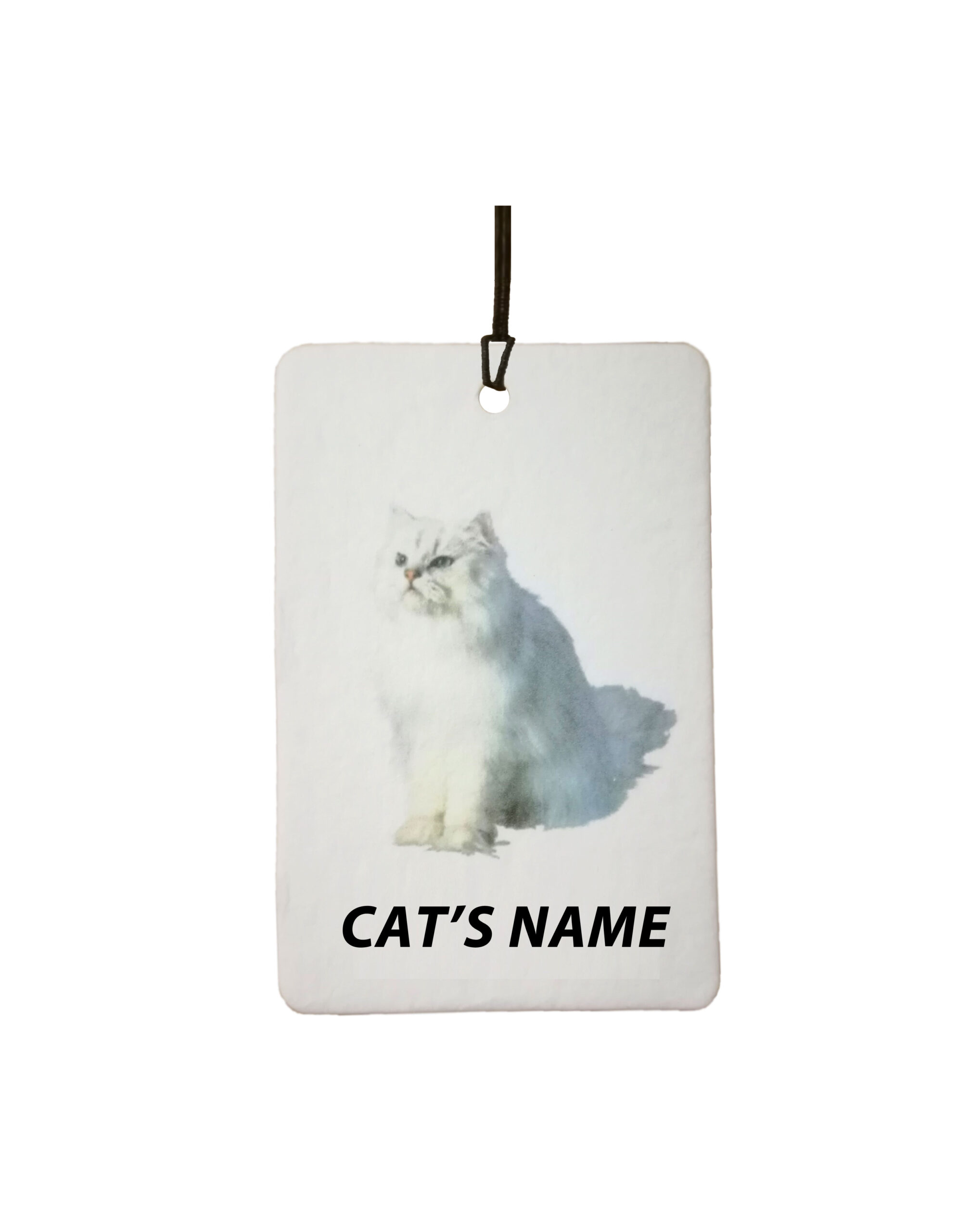 Personalised Cat's Name White Cat