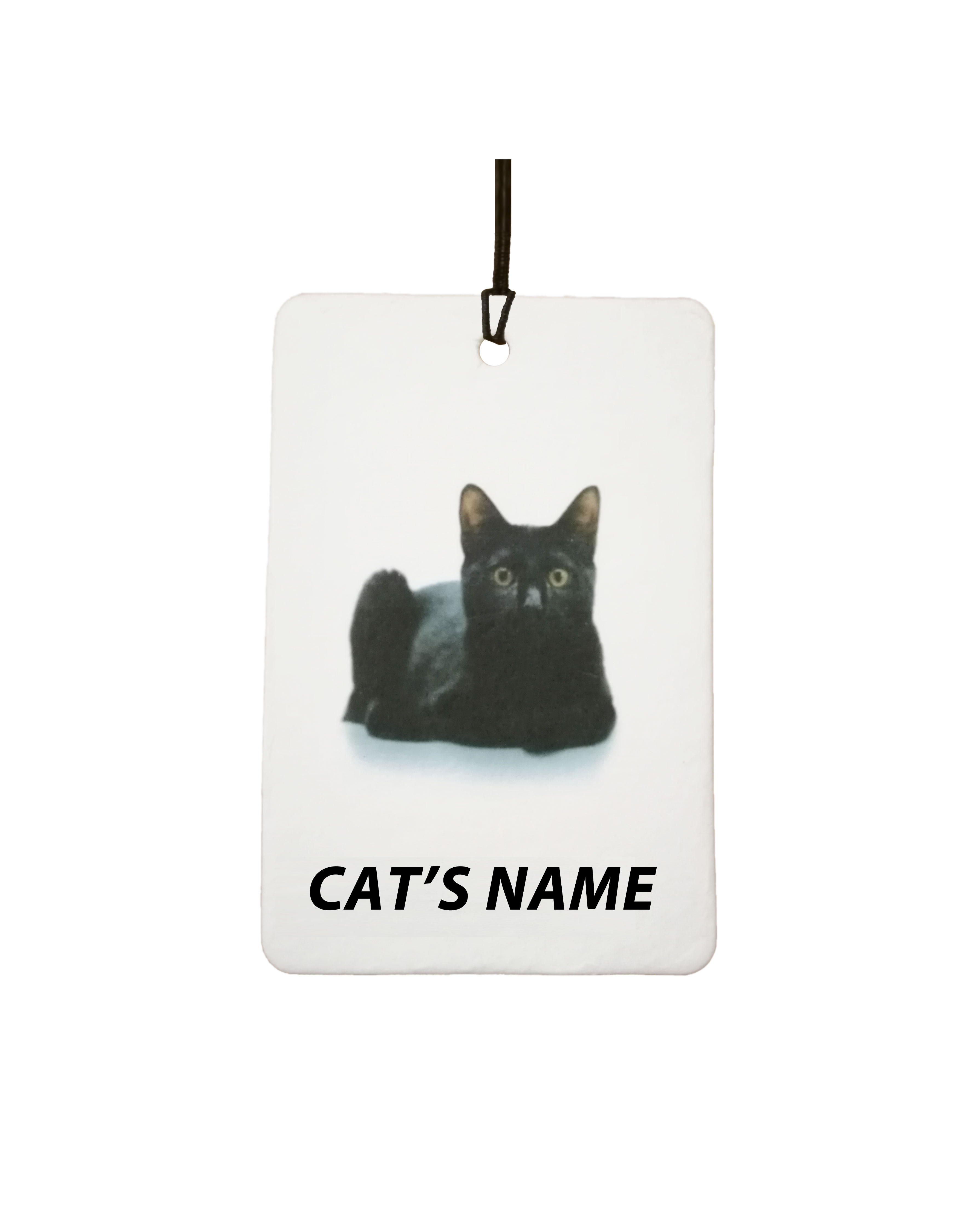 Personalised Cat's Name Bombay