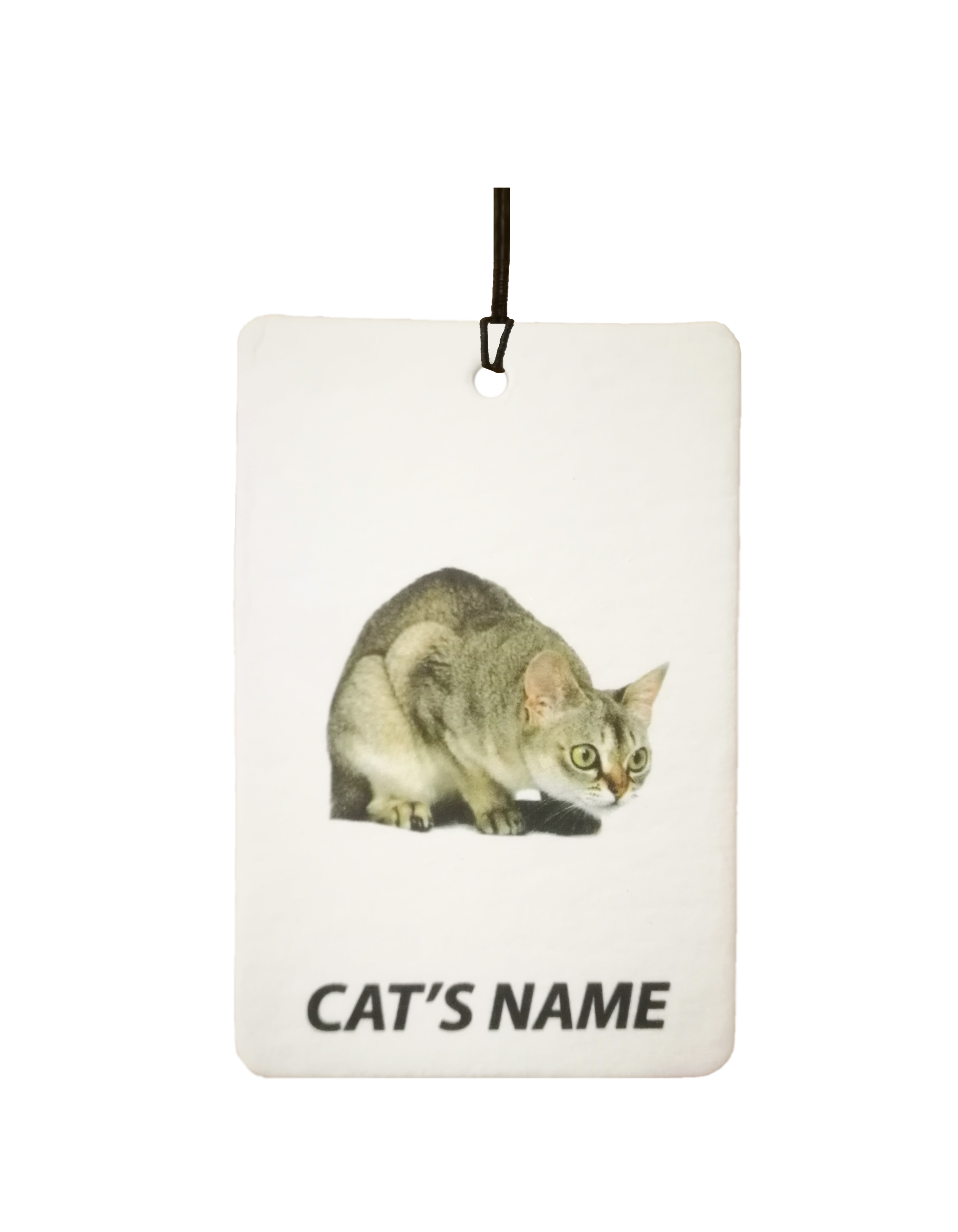Personalised Cat's Name Singapura