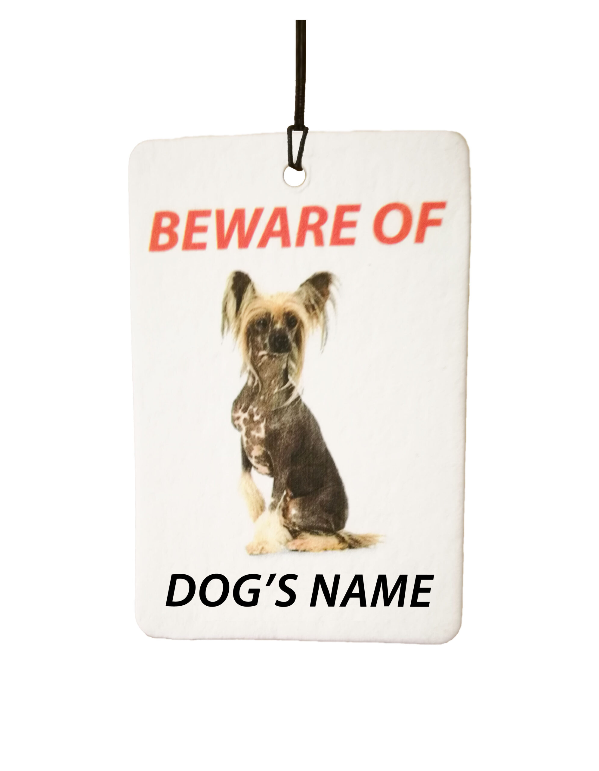 Personalised Dog's Name Chinese Crested