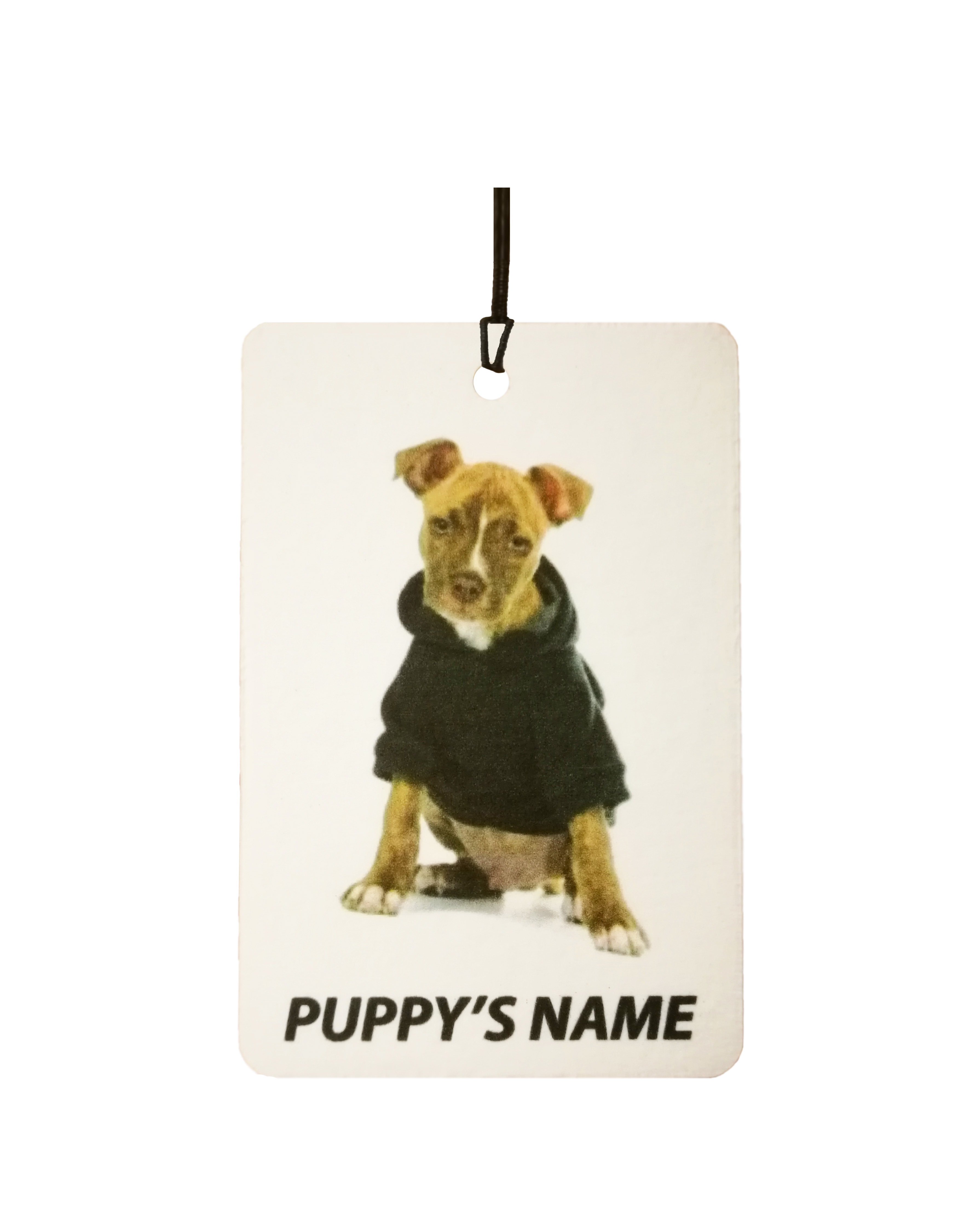 Personalised American Pitbull Puppy
