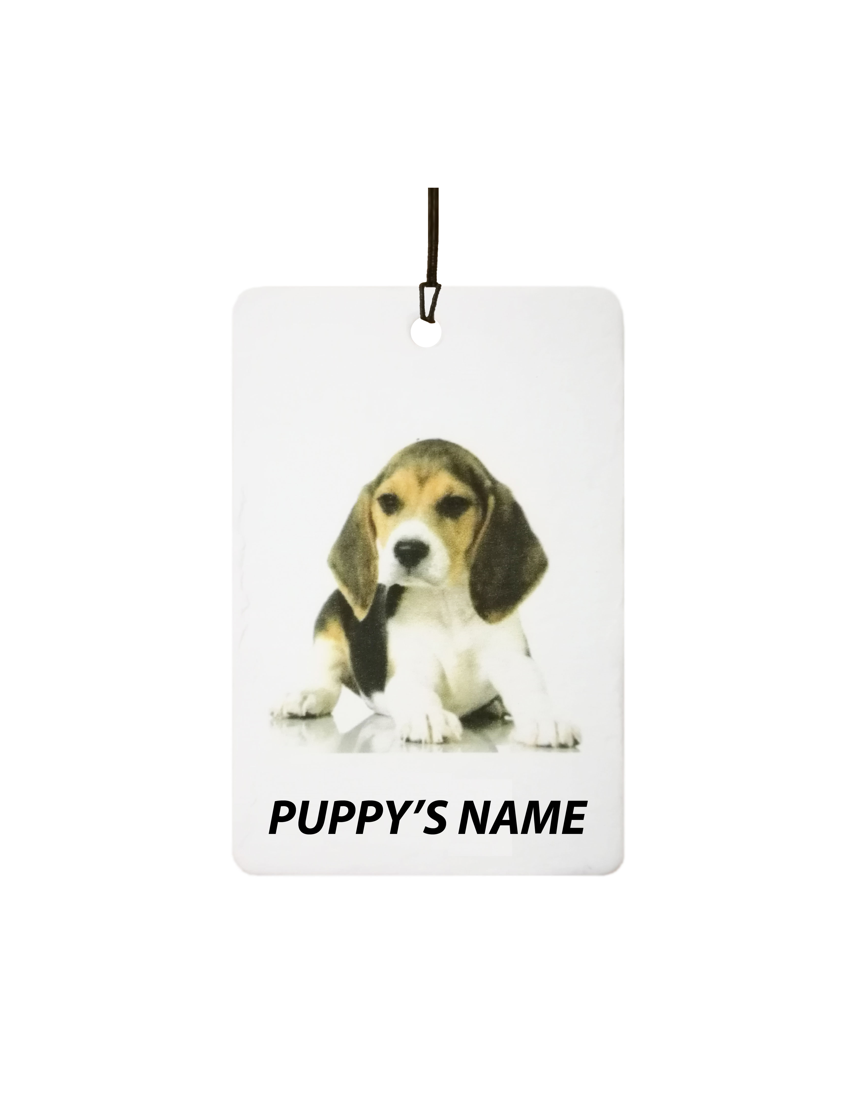 Personalised Beagle Puppy