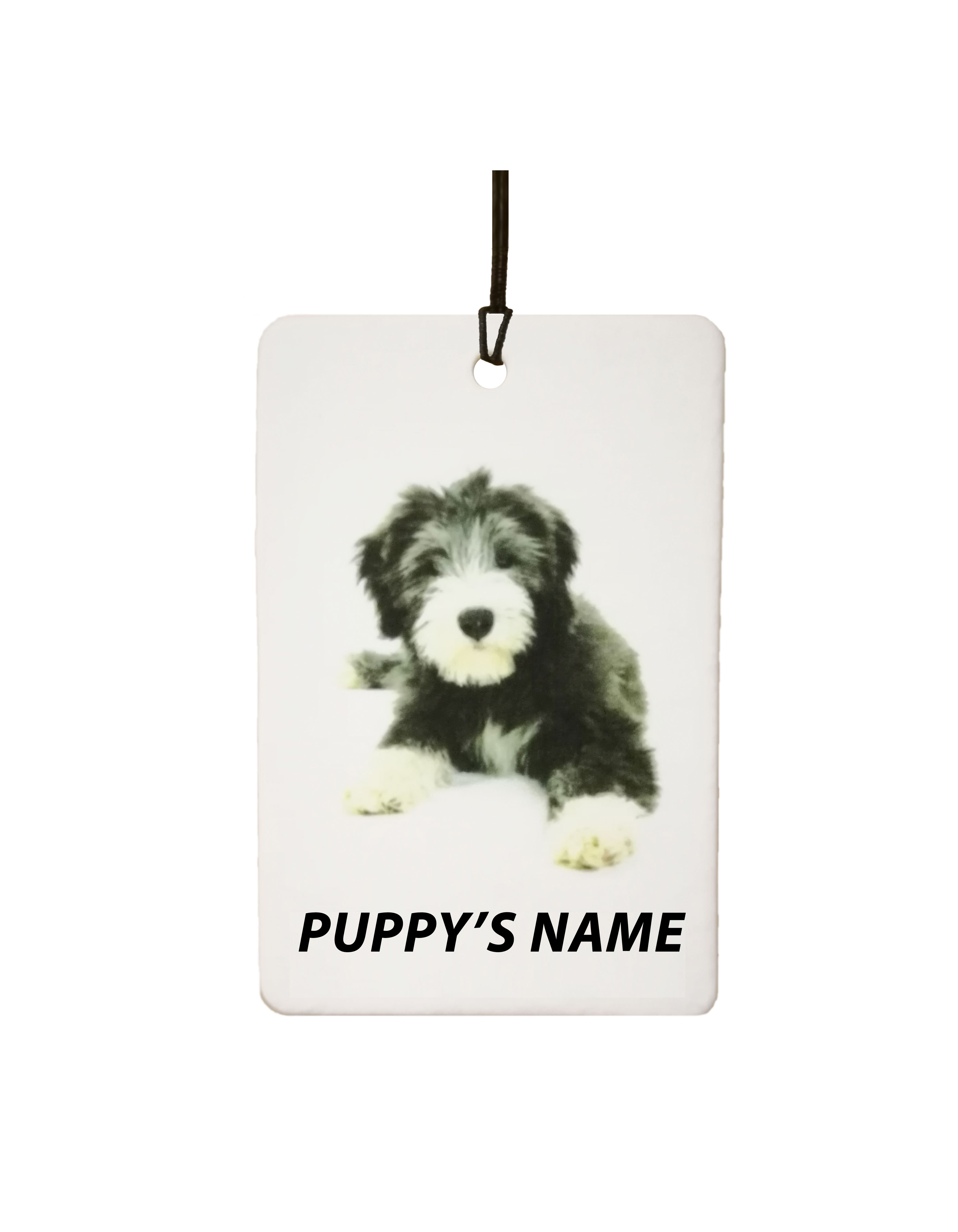 Personalised Bearded Collie Puppy
