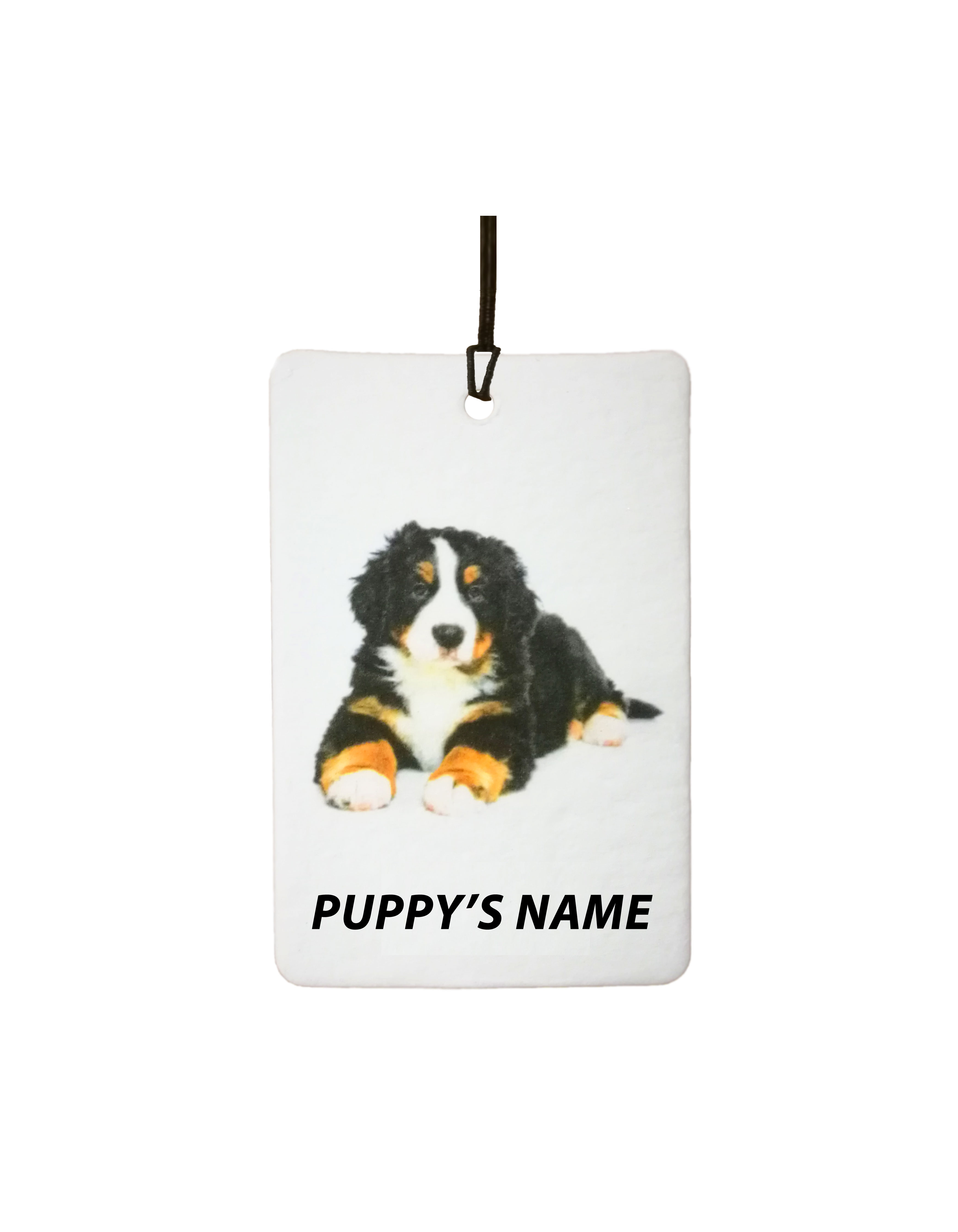 Personalised Bernese Mountain Puppy