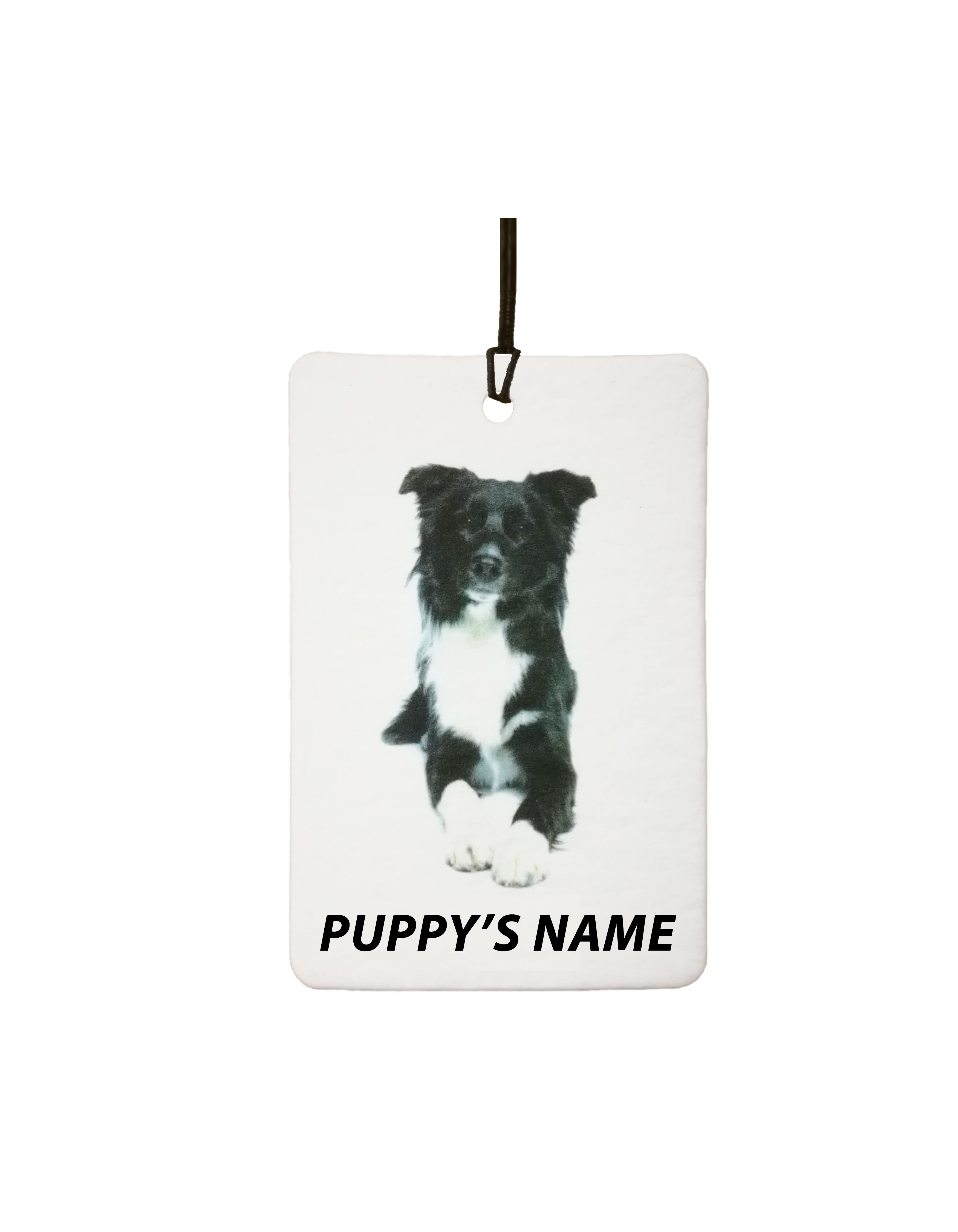 Personalised Border Collie Puppy