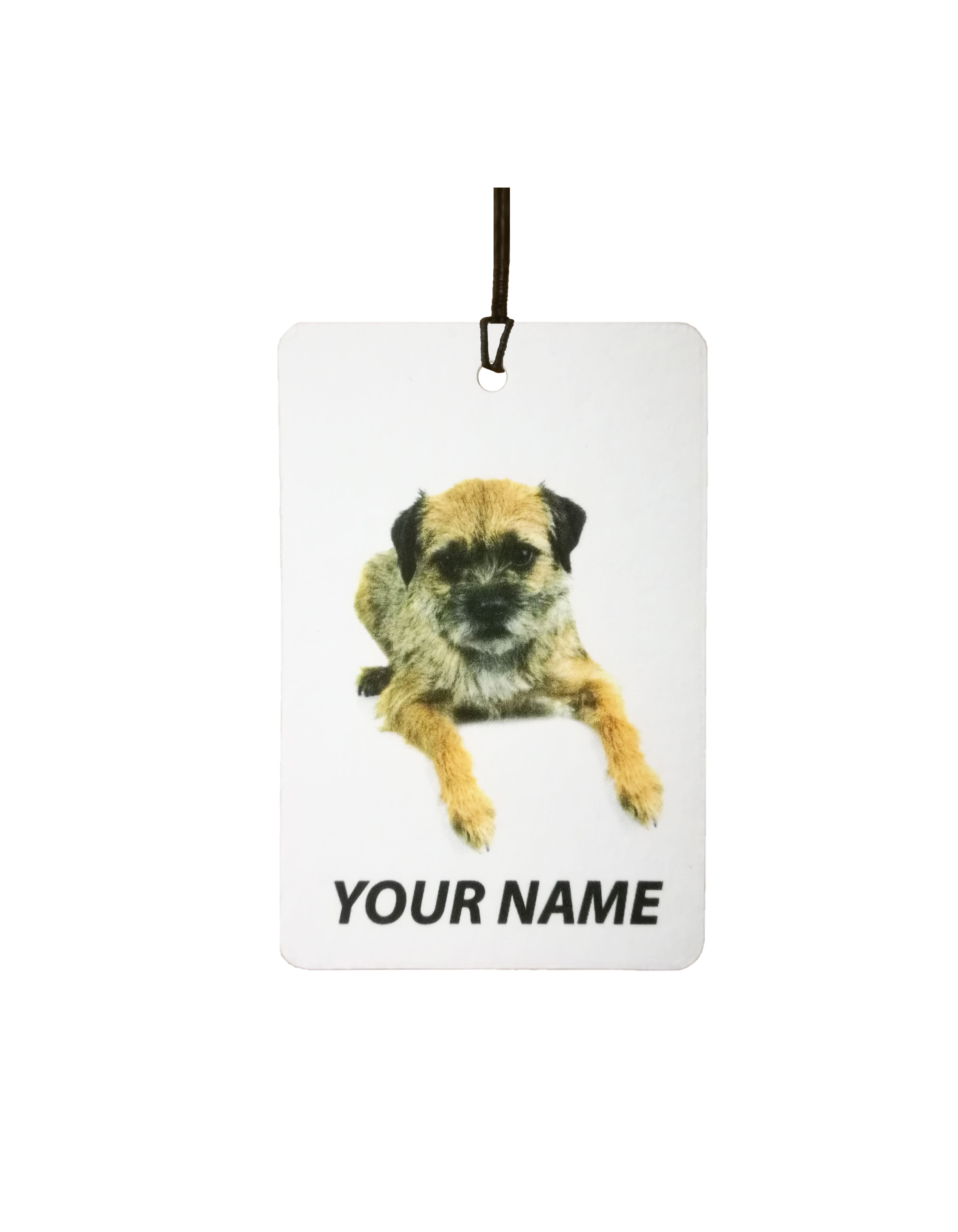 Personalised Border Terrier Puppy