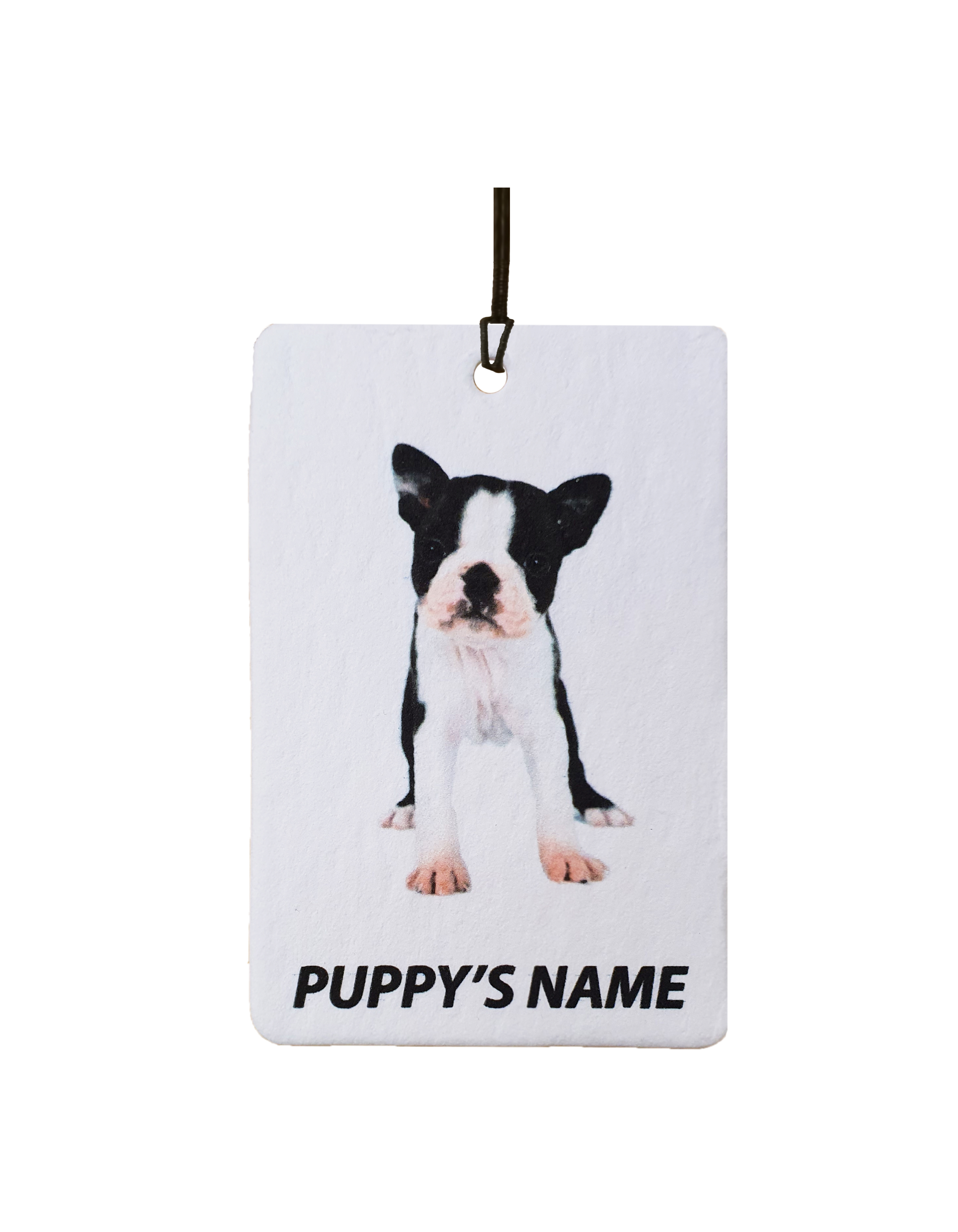 Personalised Boston Terrier Puppy