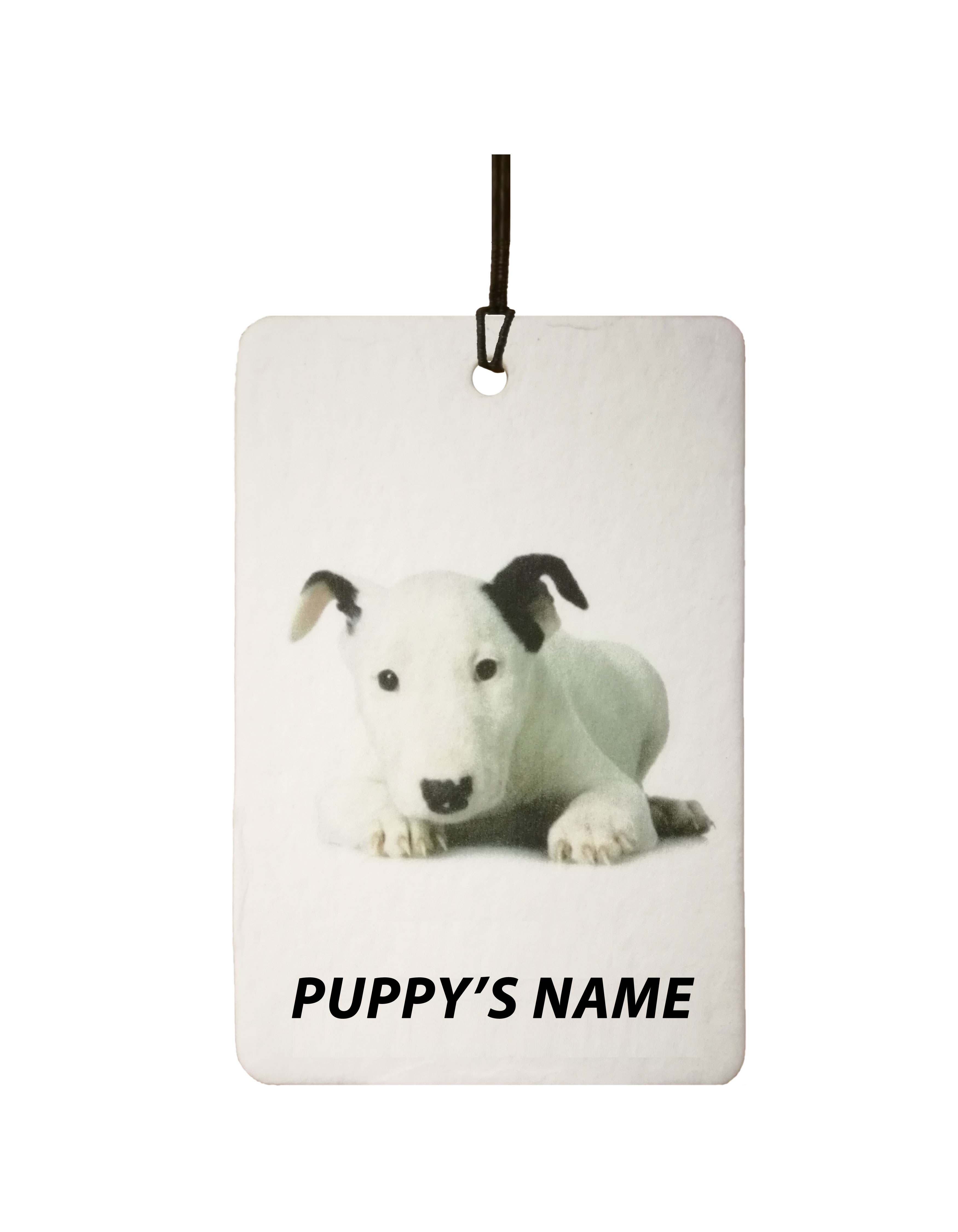 Personalised Bull Terrier Puppy