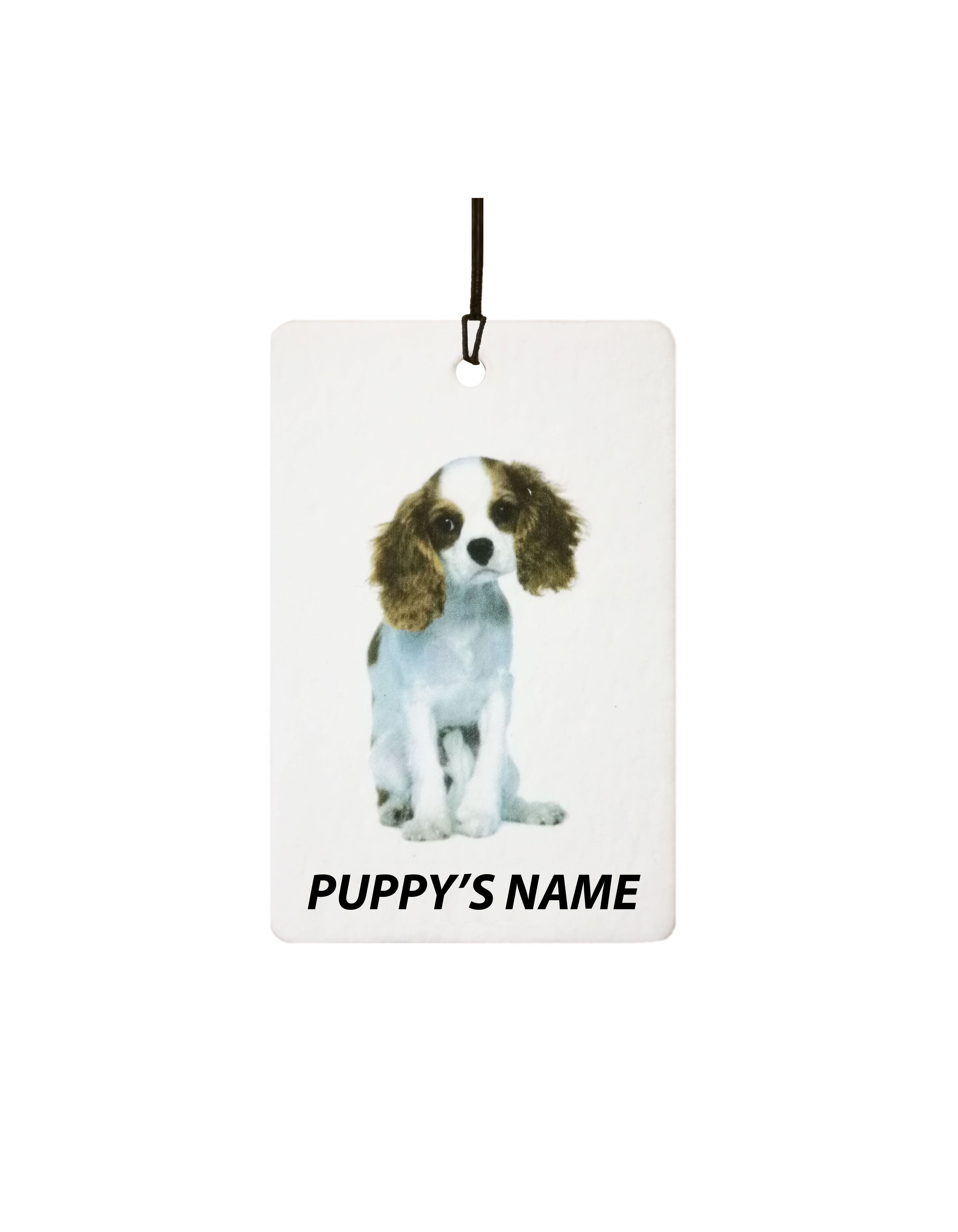 Personalised Cavalier King Charles Puppy