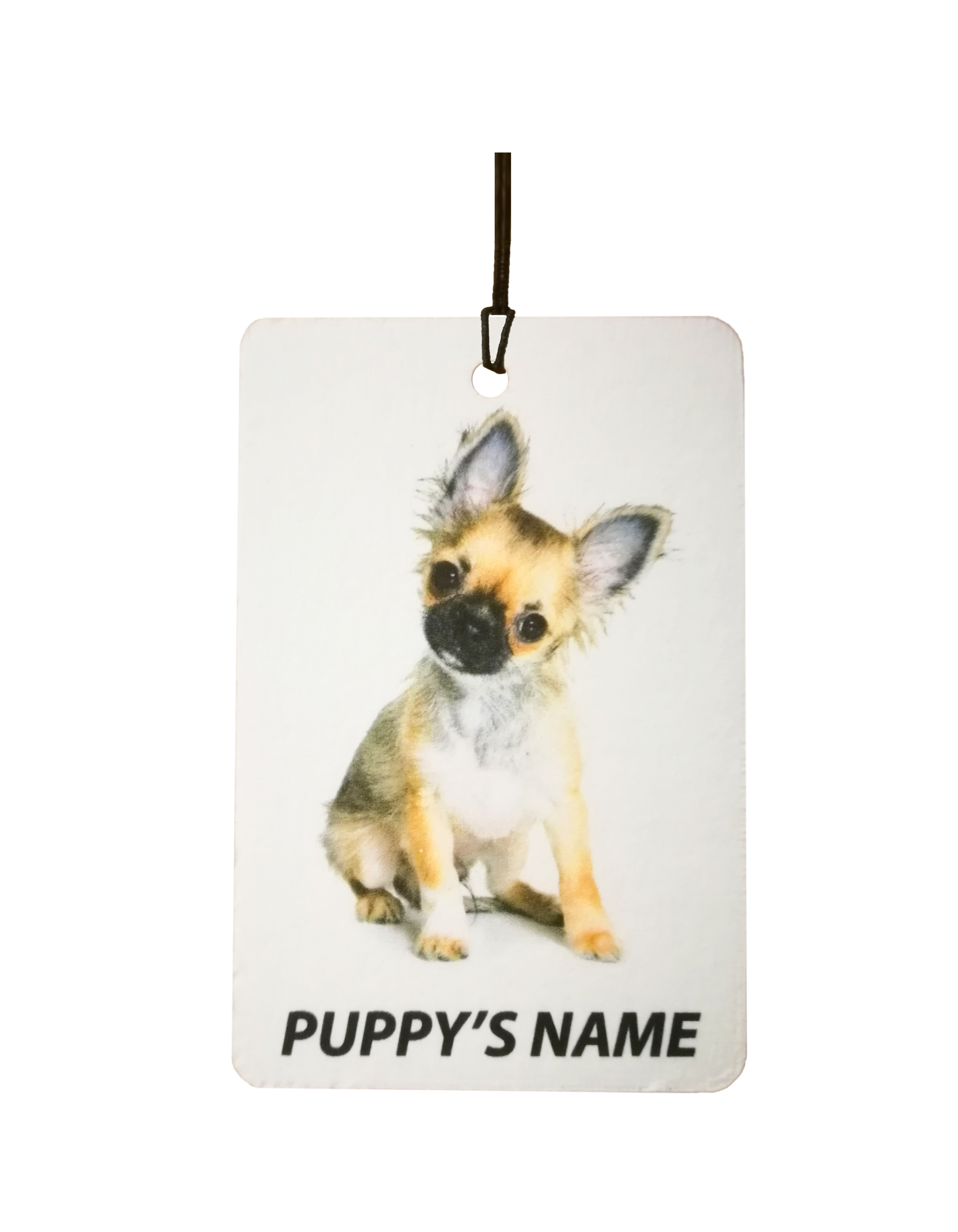 Personalised Chihuahua Puppy