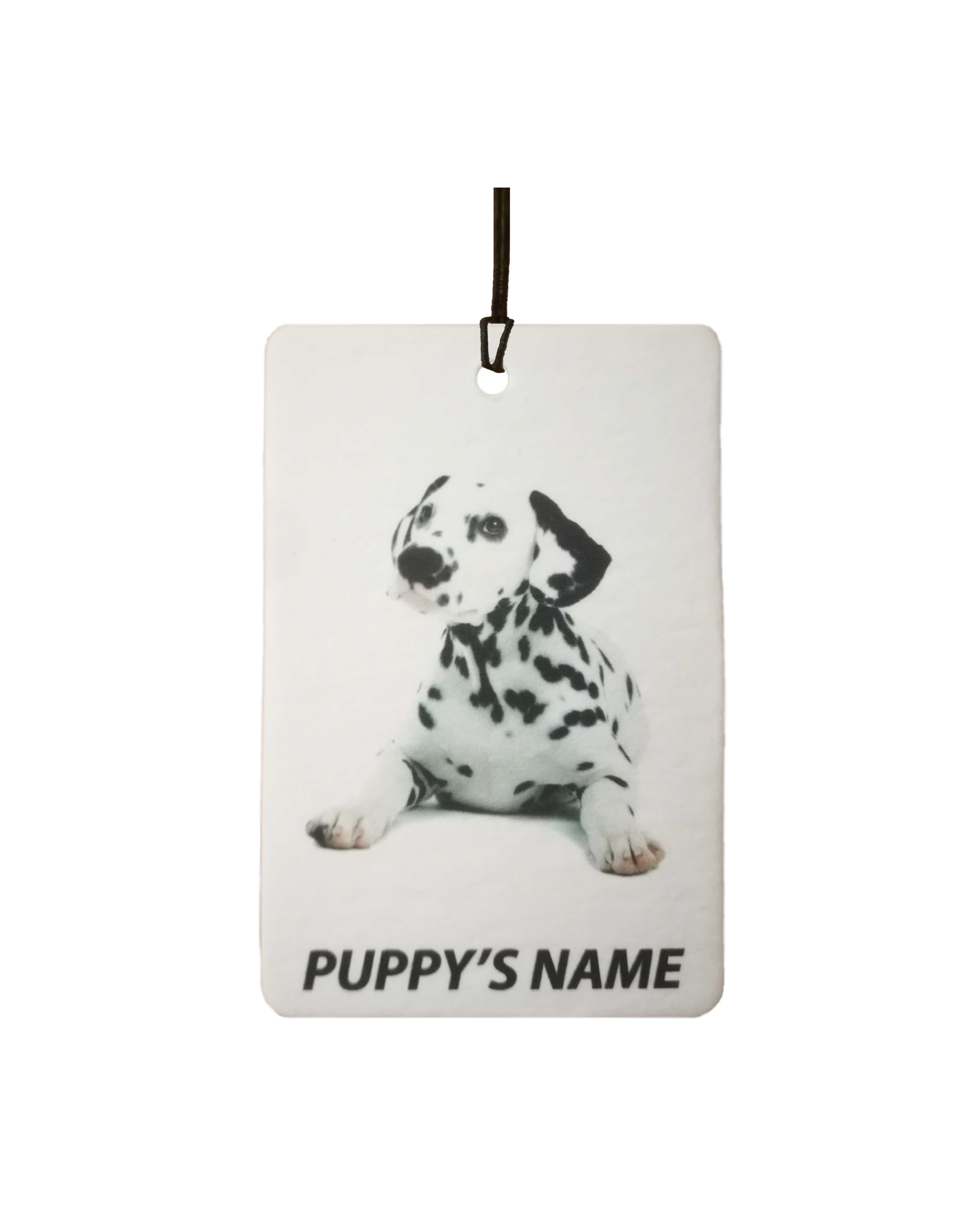 Personalised Dalmation Puppy