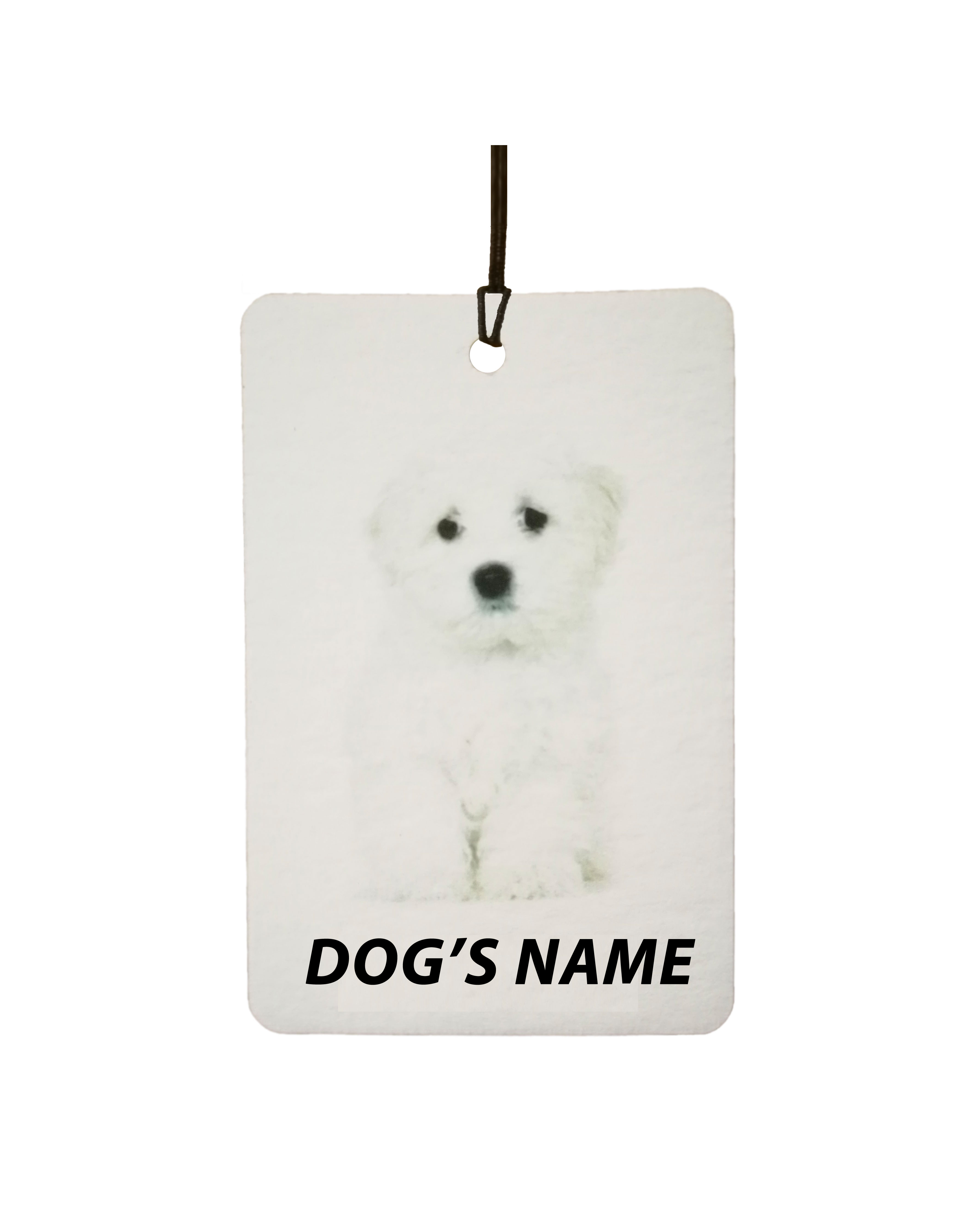 Personalised Maltese Puppy