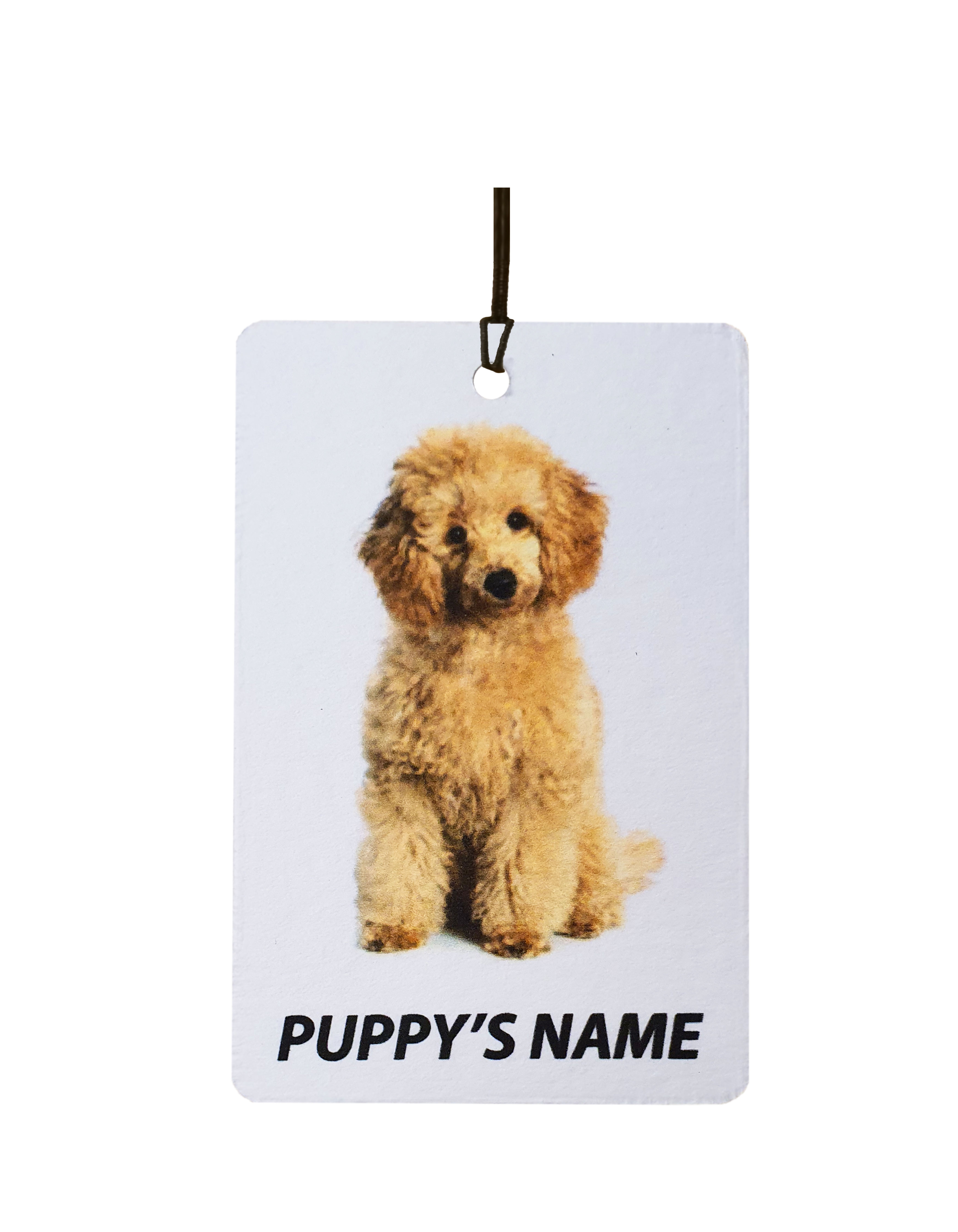 Personalised Poodle Puppy
