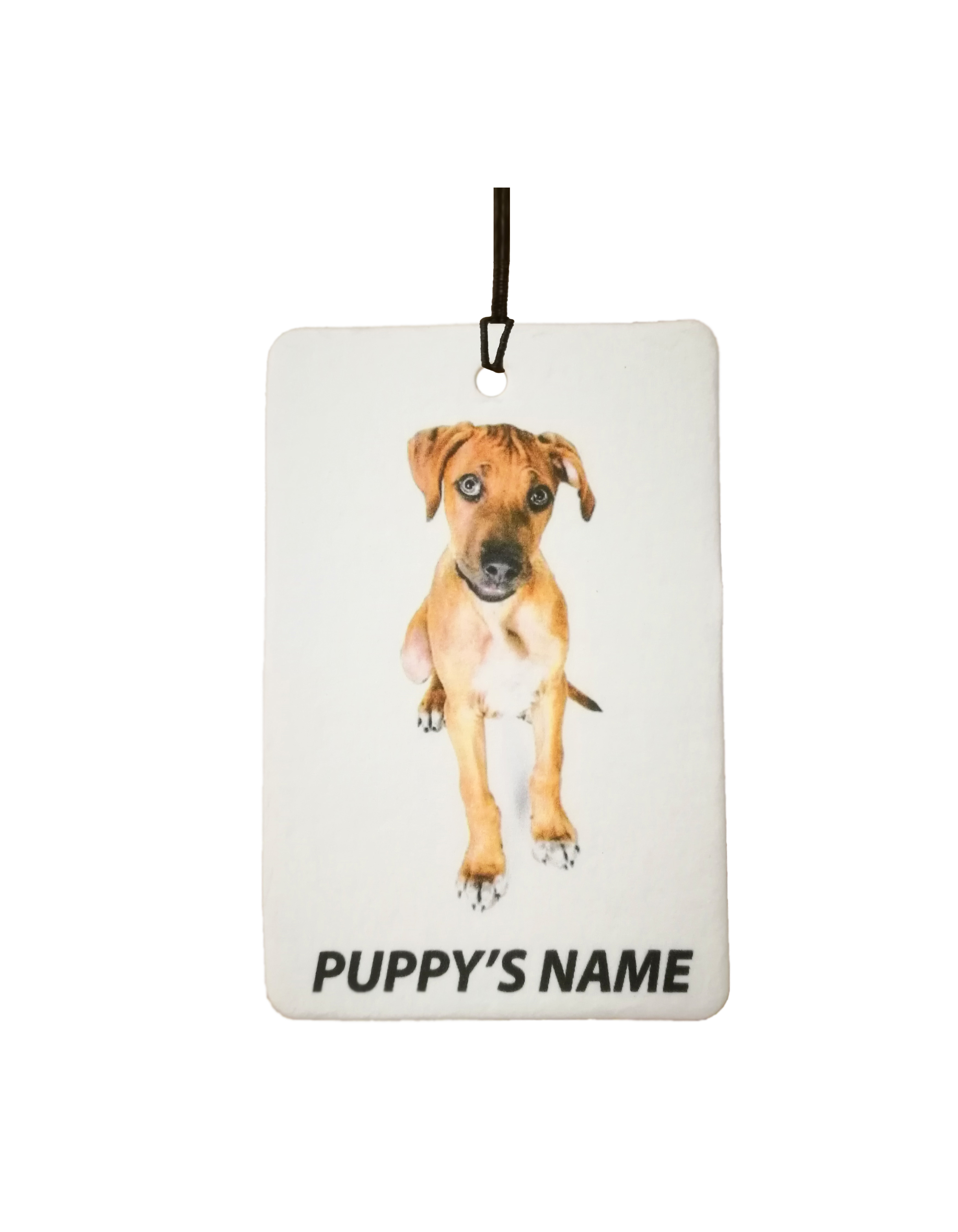 Personalised Rhodesian Ridgeback Puppy