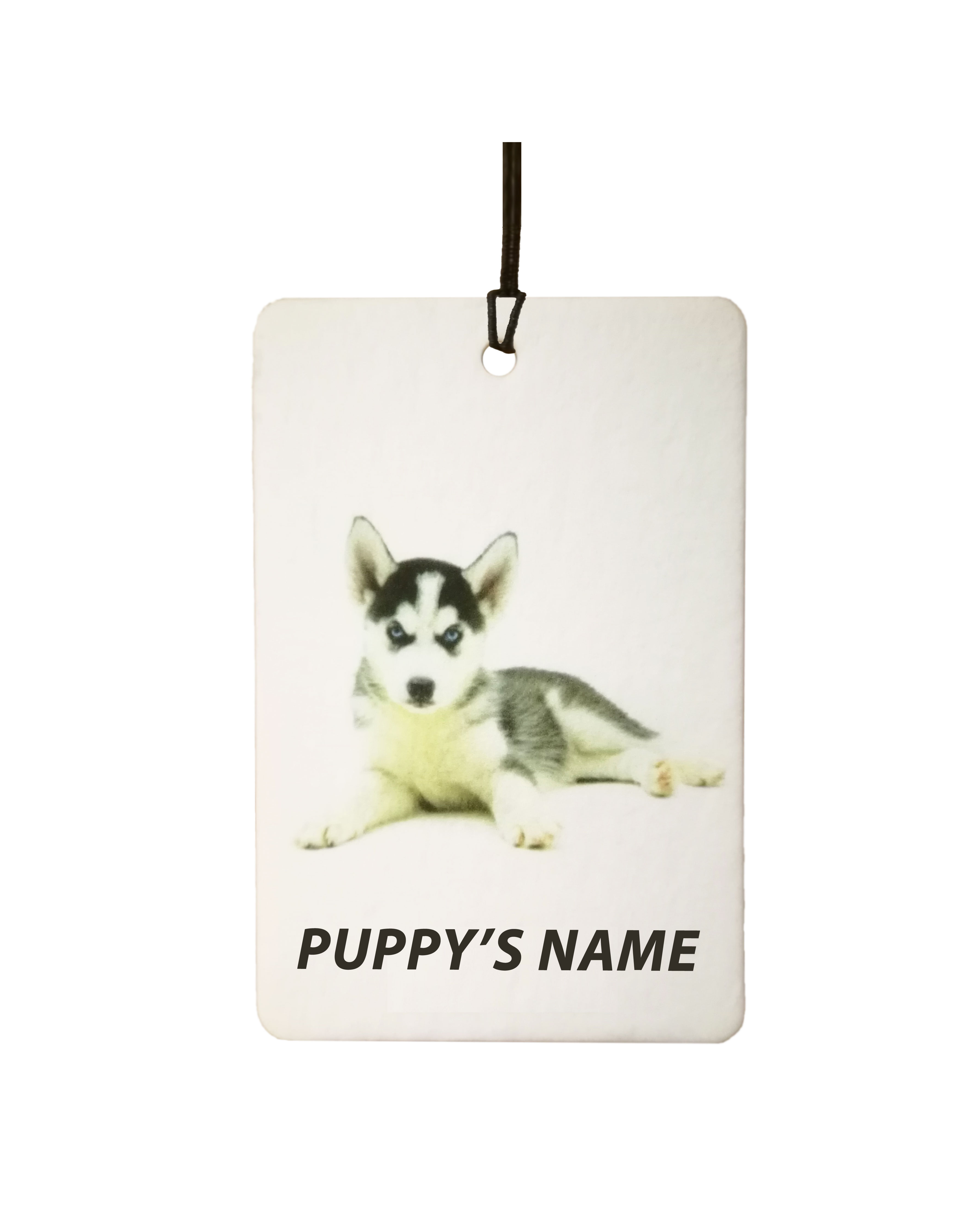 Personalised Siberian Husky Puppy