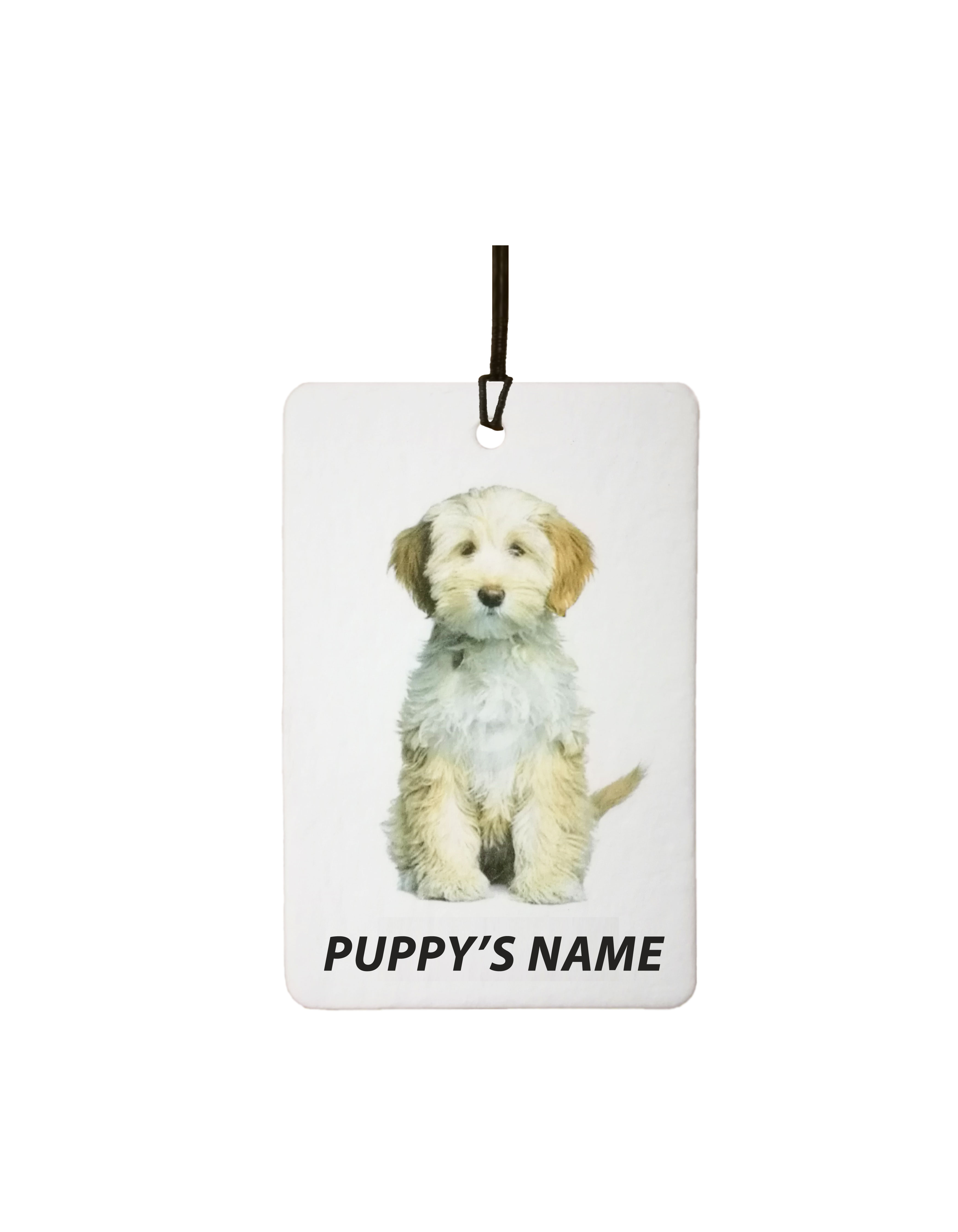 Personalised TibetanTerrier Puppy