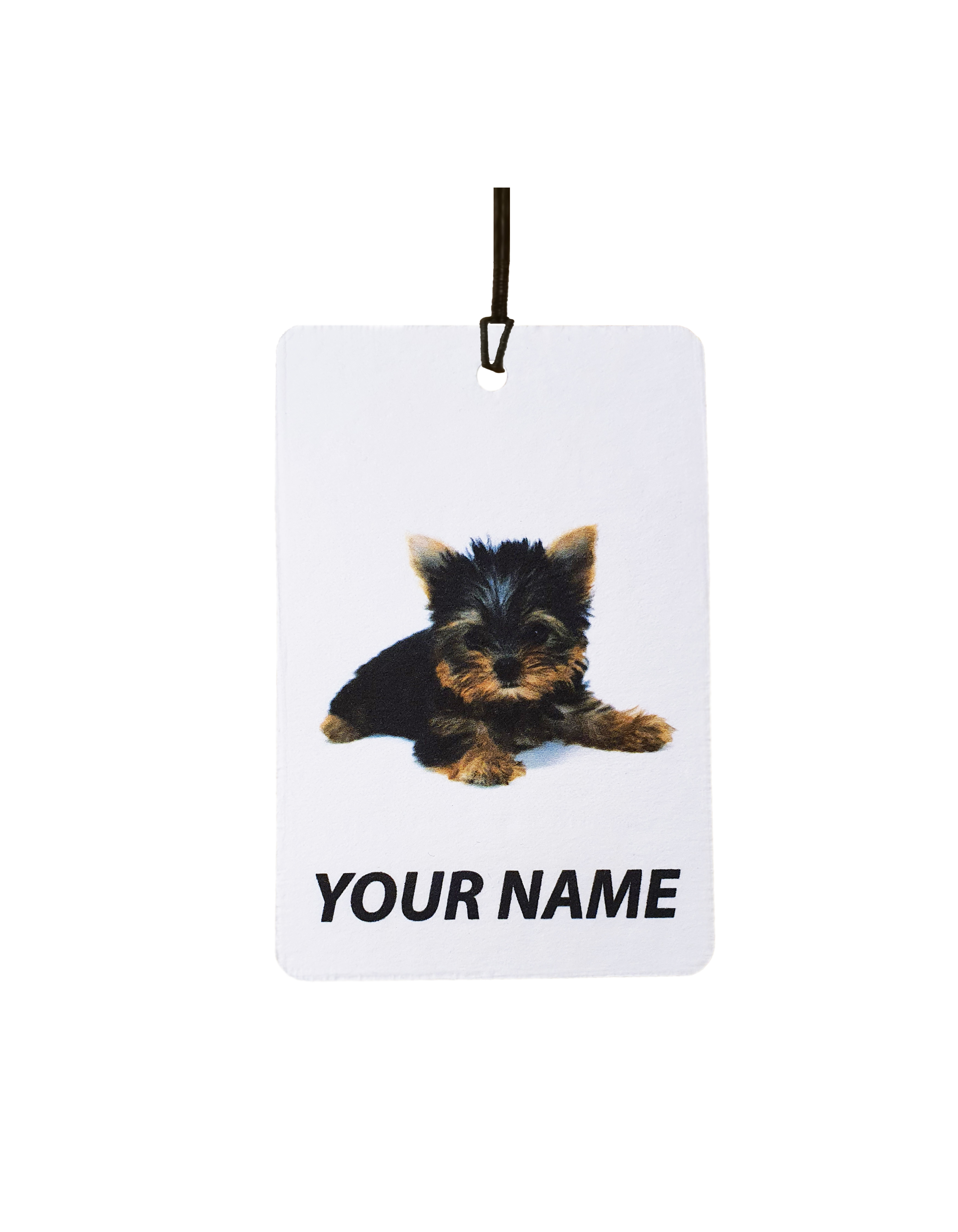 Personalised Yorkshire Terrier Puppy