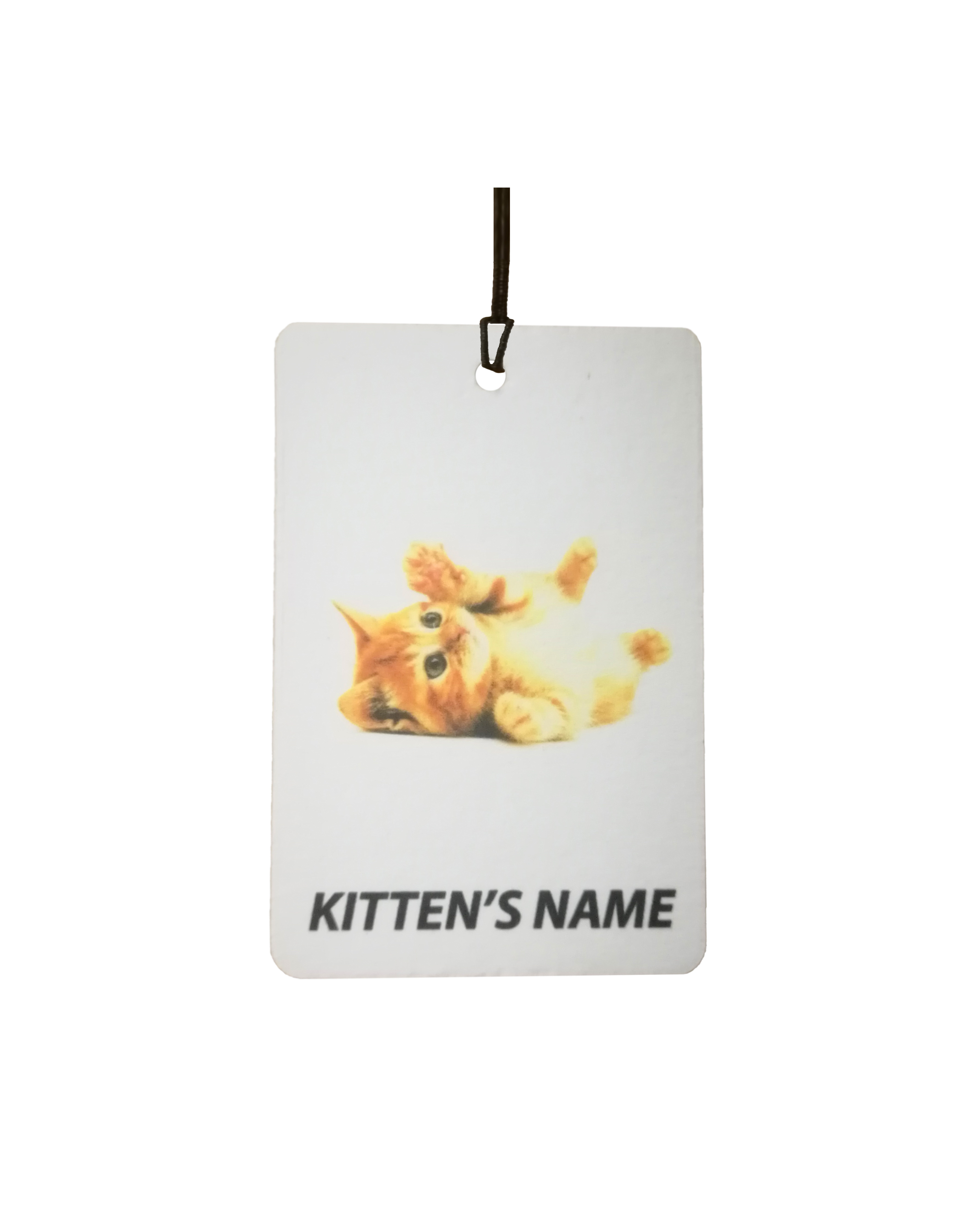 Personalised Ginger Kitten