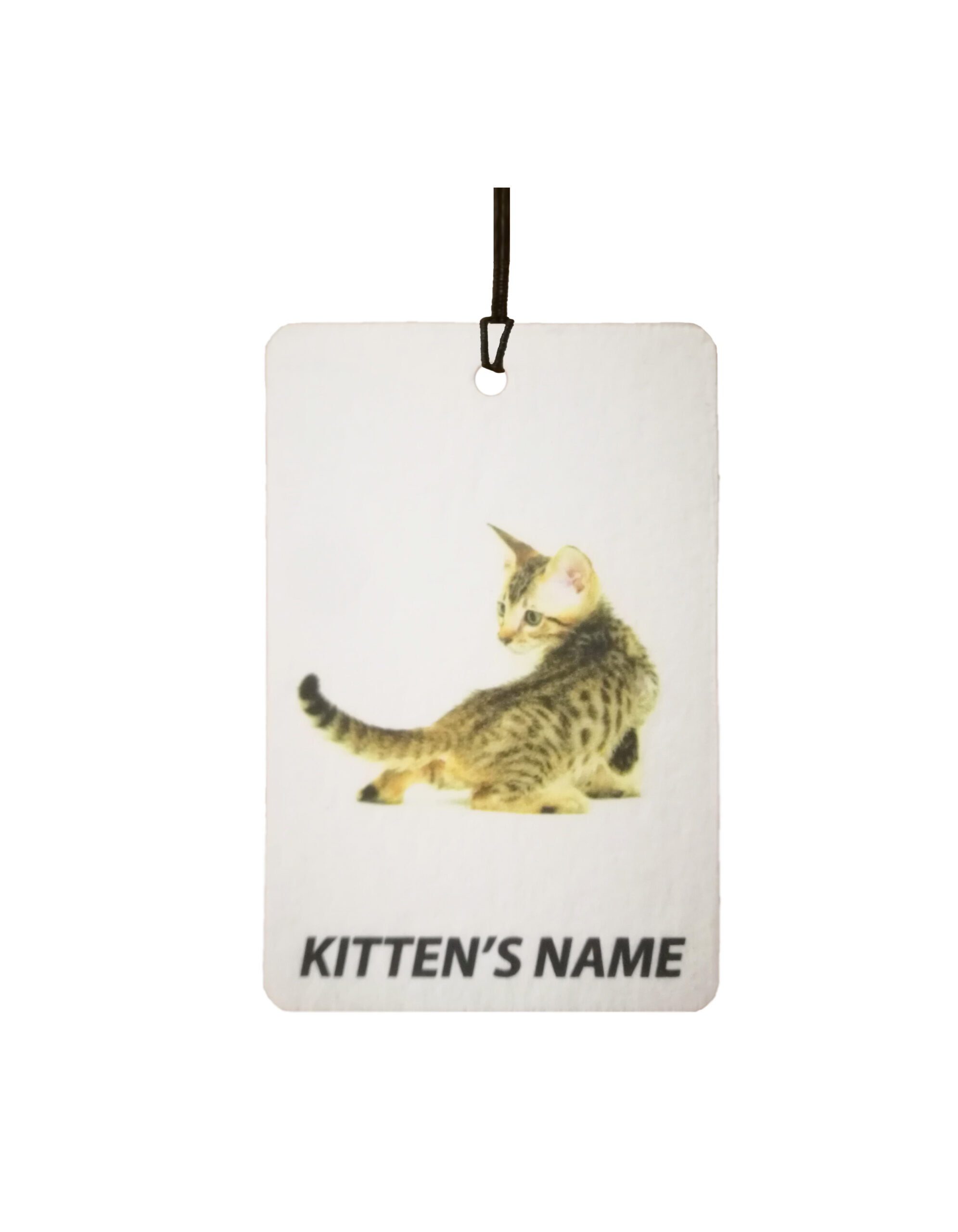 Personalised Savannah Kitten