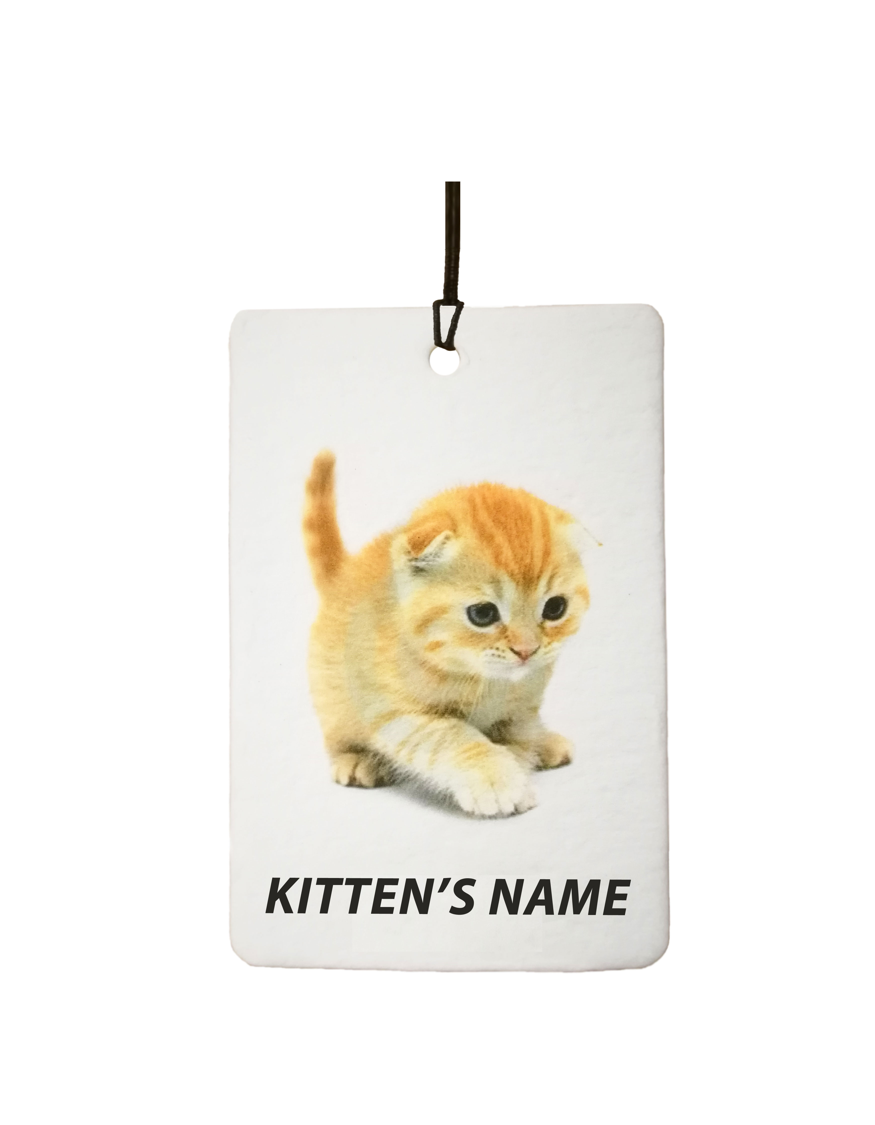 Personalised Scottish Fold Kitten