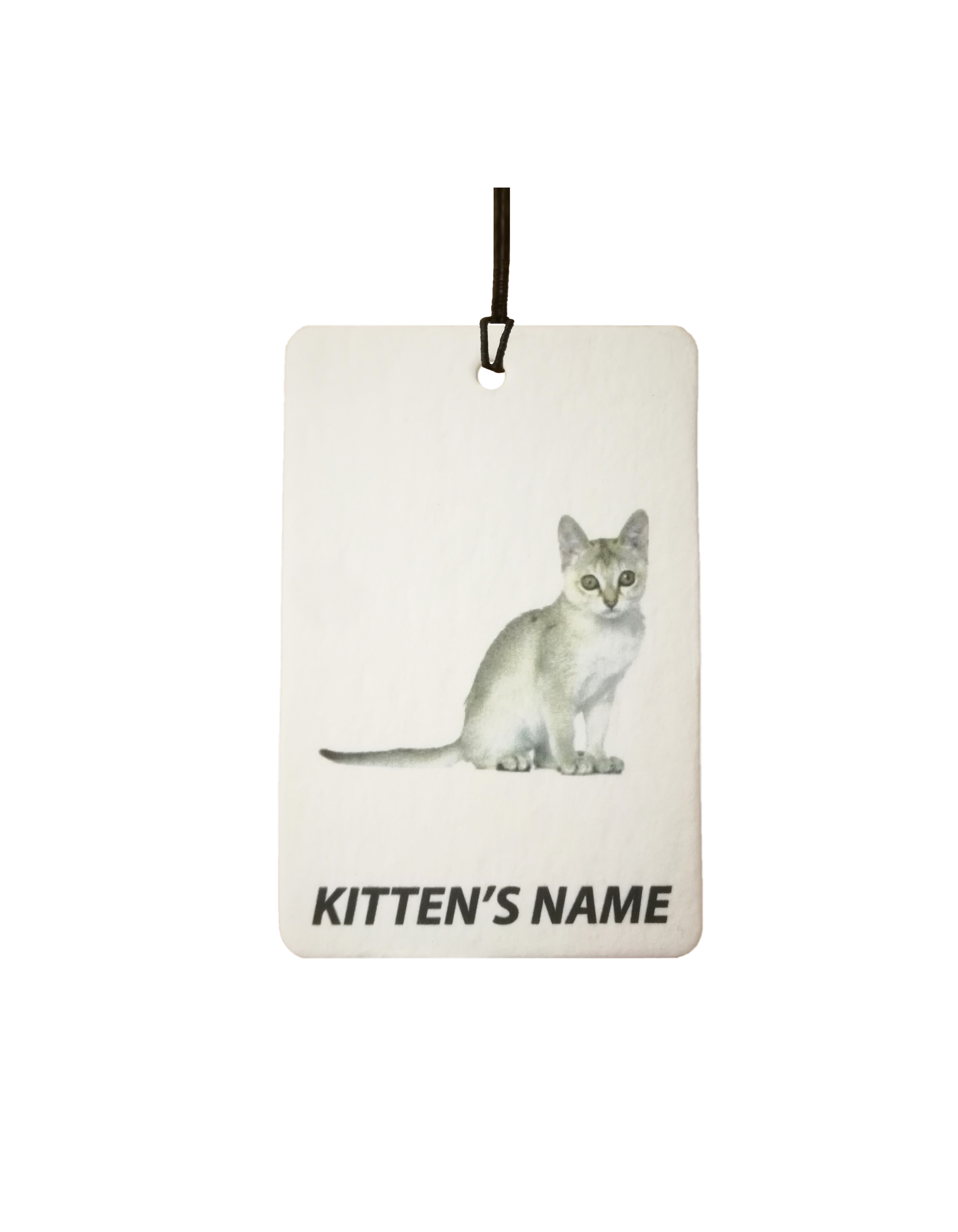 Personalised Singapura Kitten