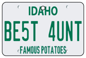 Idaho - Best Aunt