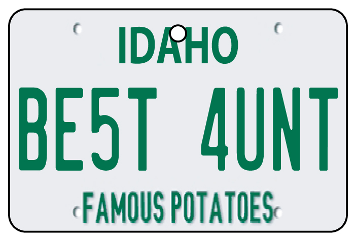 Idaho - Best Aunt