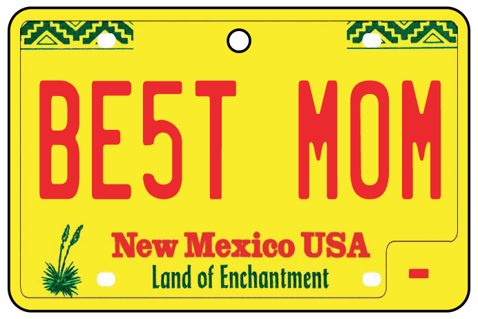 New Mexico - Best Mom