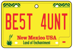 New Mexico - Best Aunt