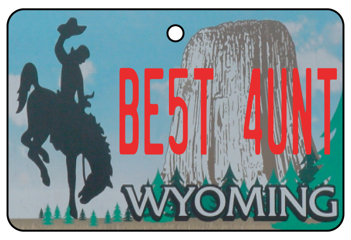 Wyoming - Best Aunt