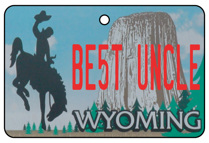 Wyoming - Best Uncle
