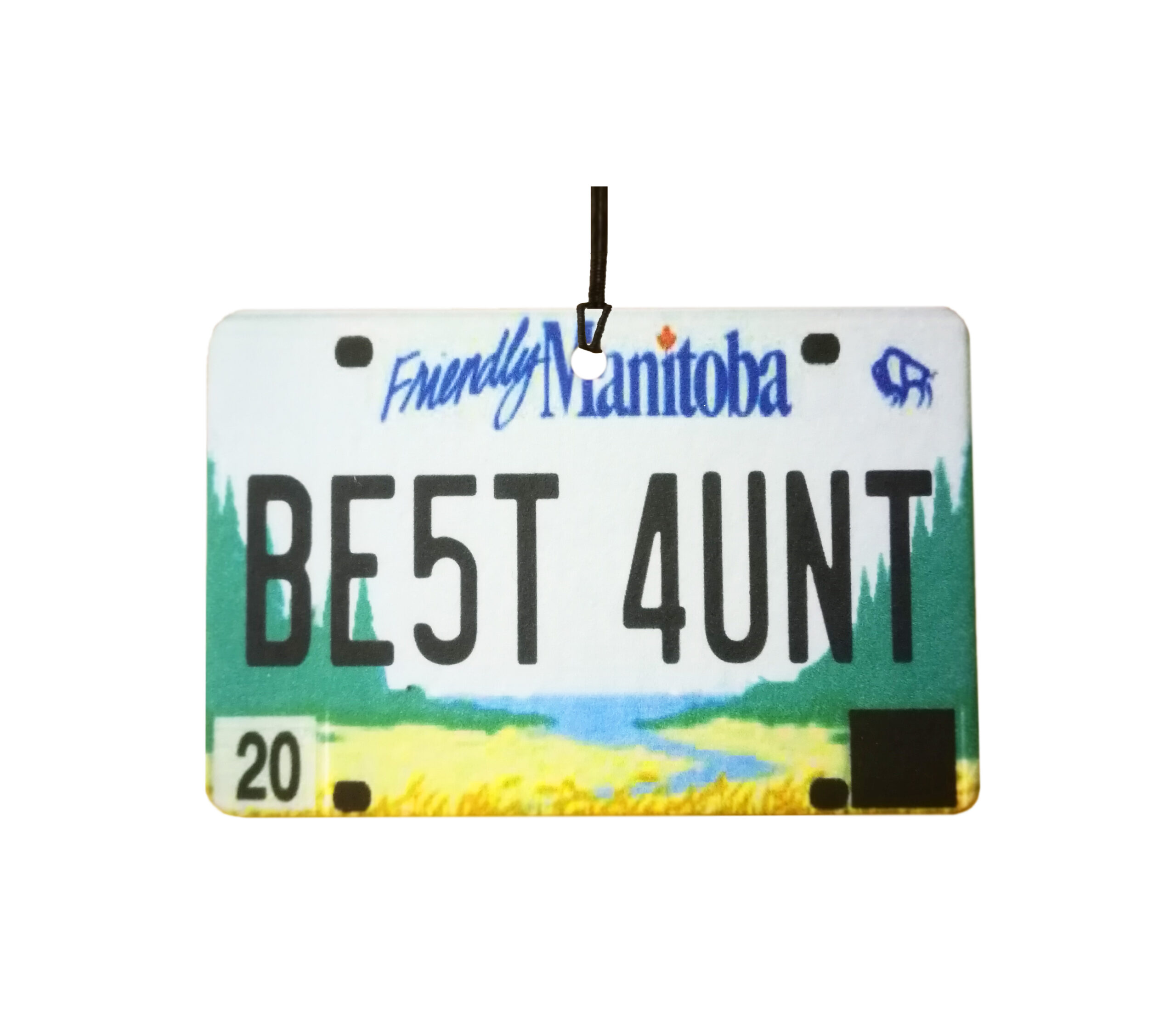 Manitoba - Best Aunt