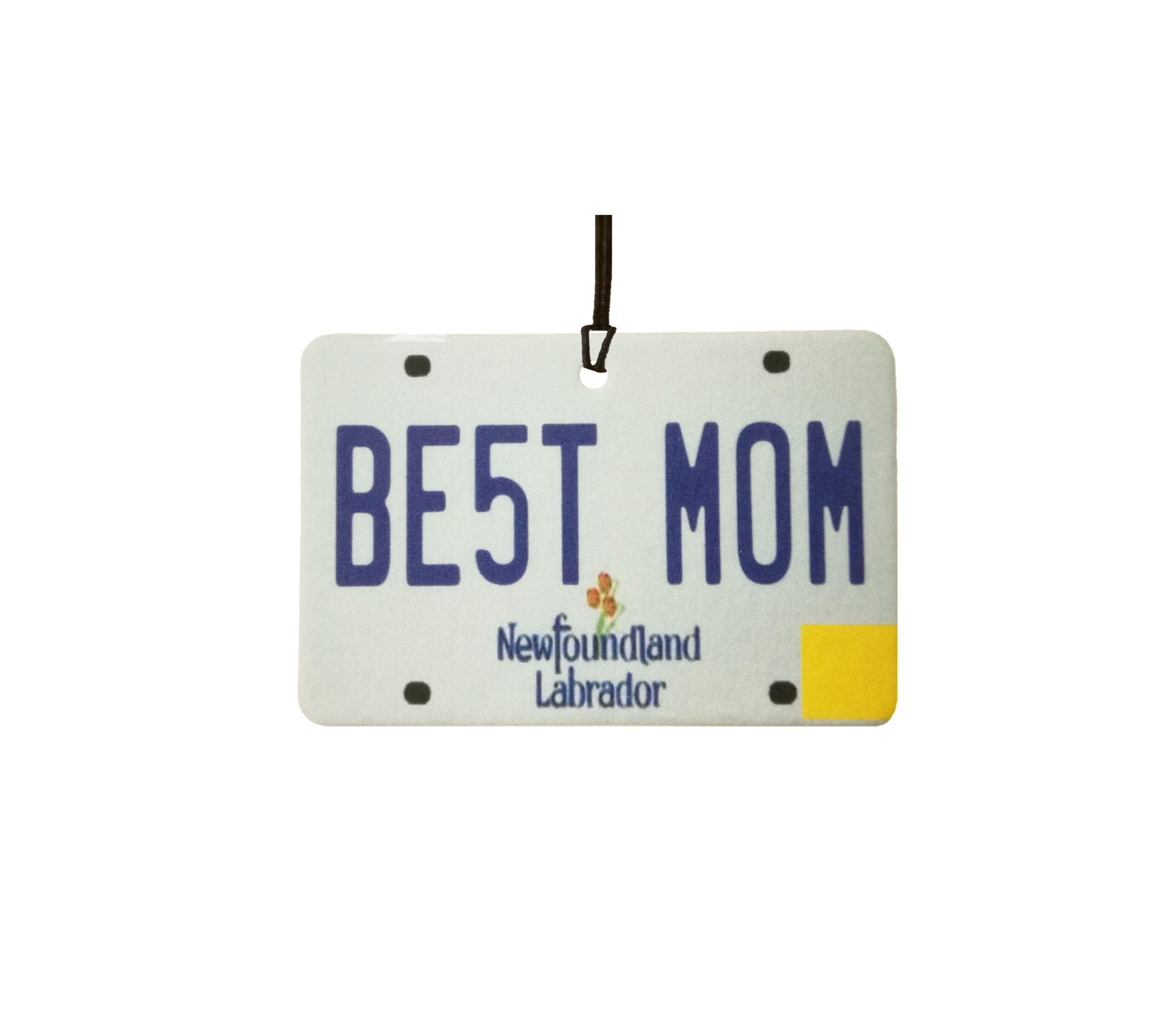 Newfoundland And Labrador - Best Mom